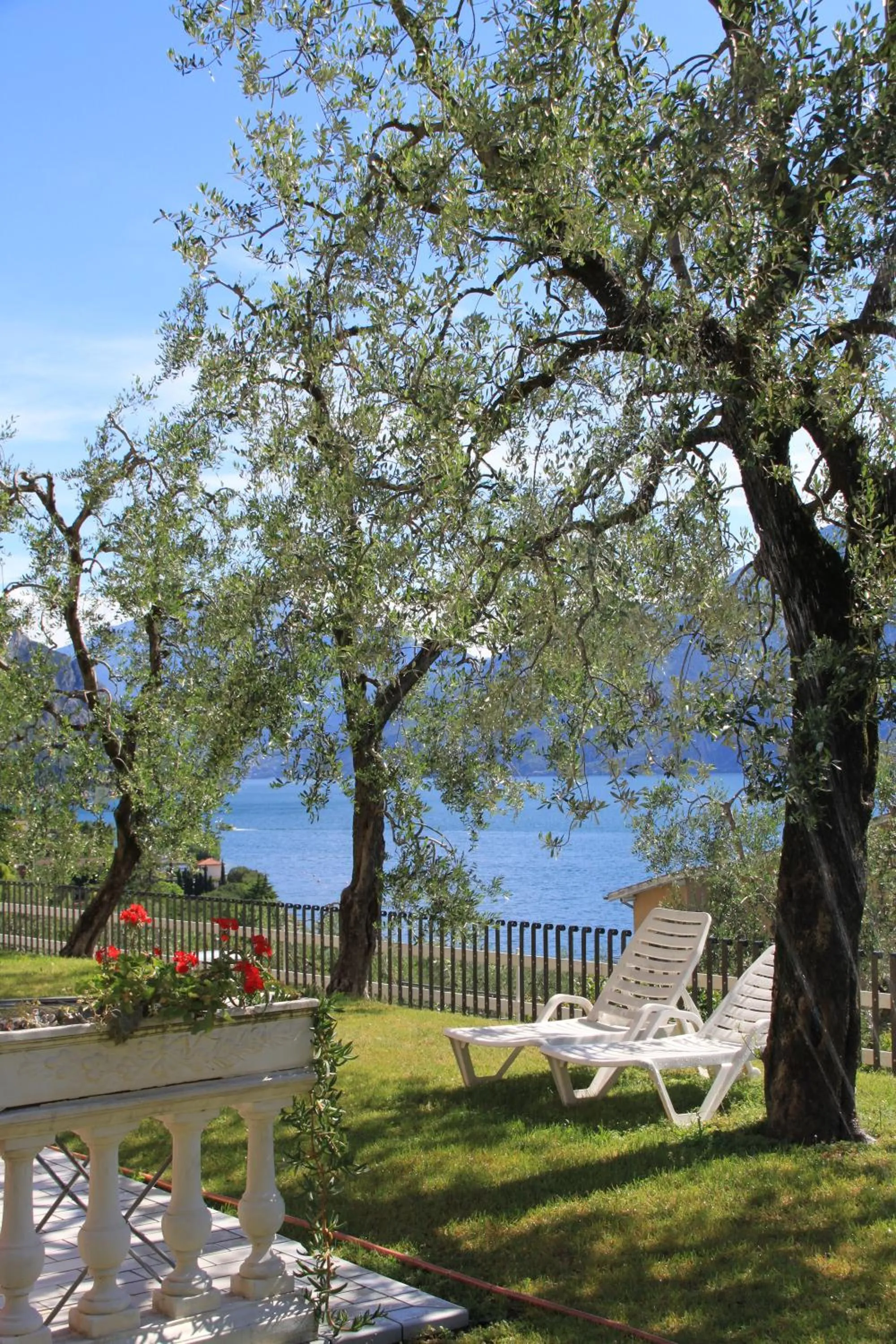 Garden in Hotel Riviera Panoramic Green Resort
