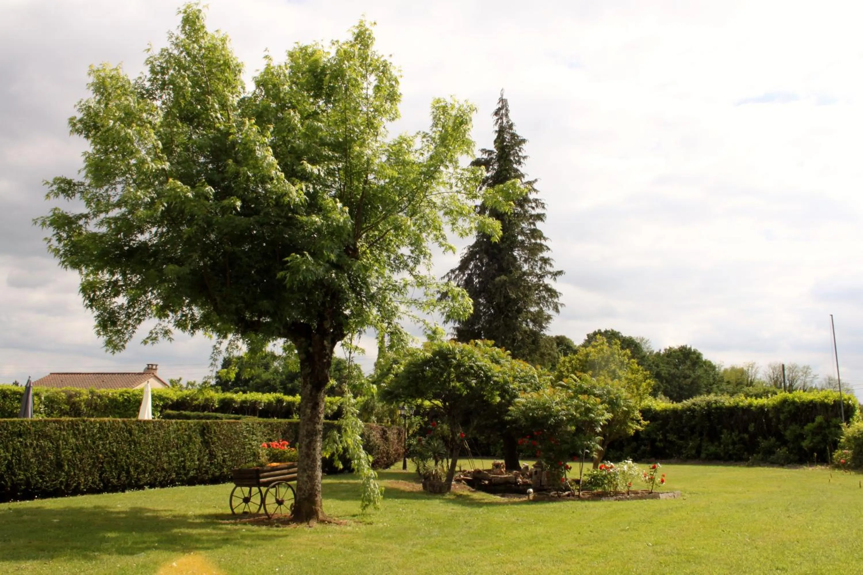 Garden in Hôtel La Hoirie