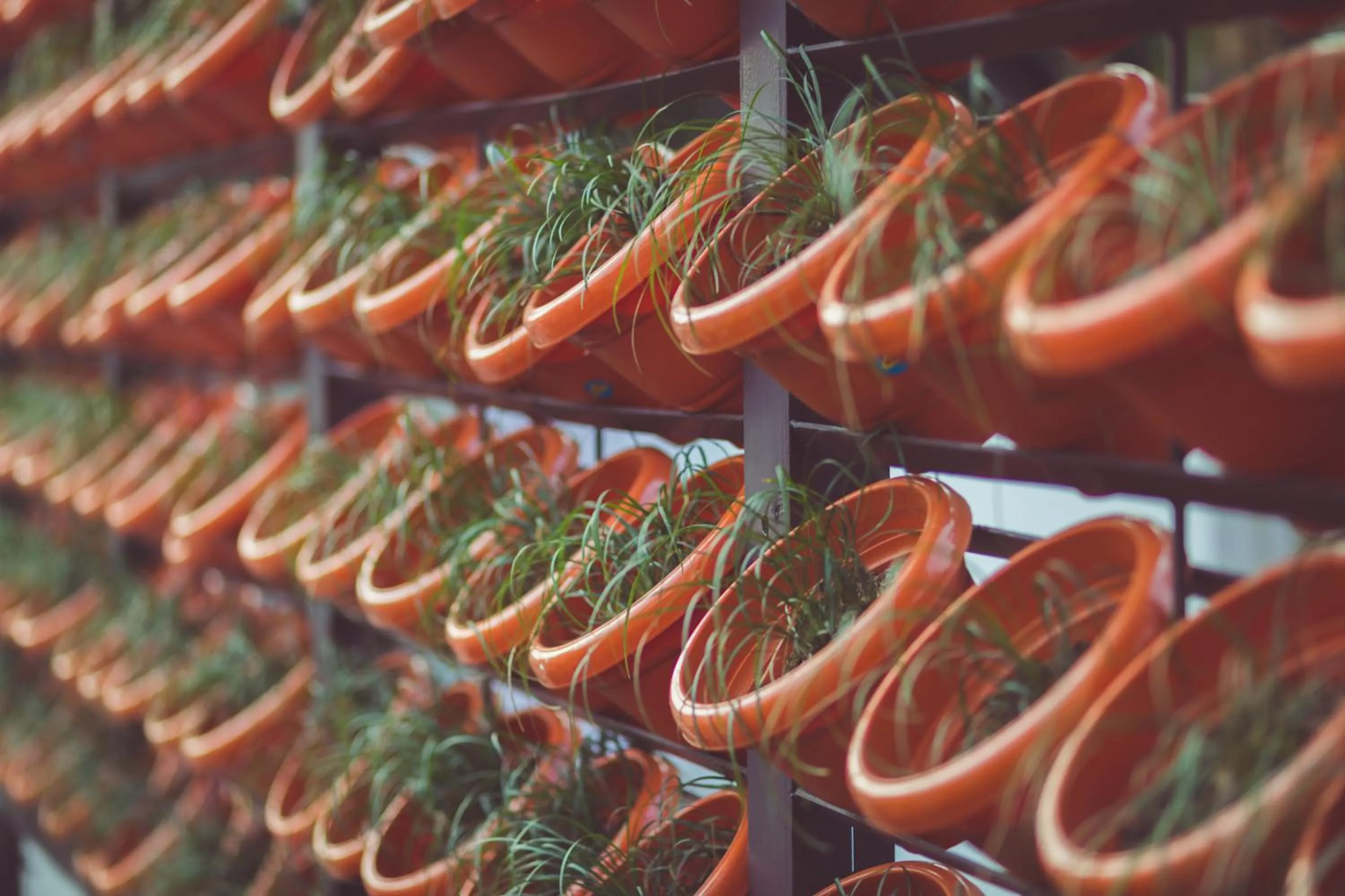 Property building in The Solitaire Express