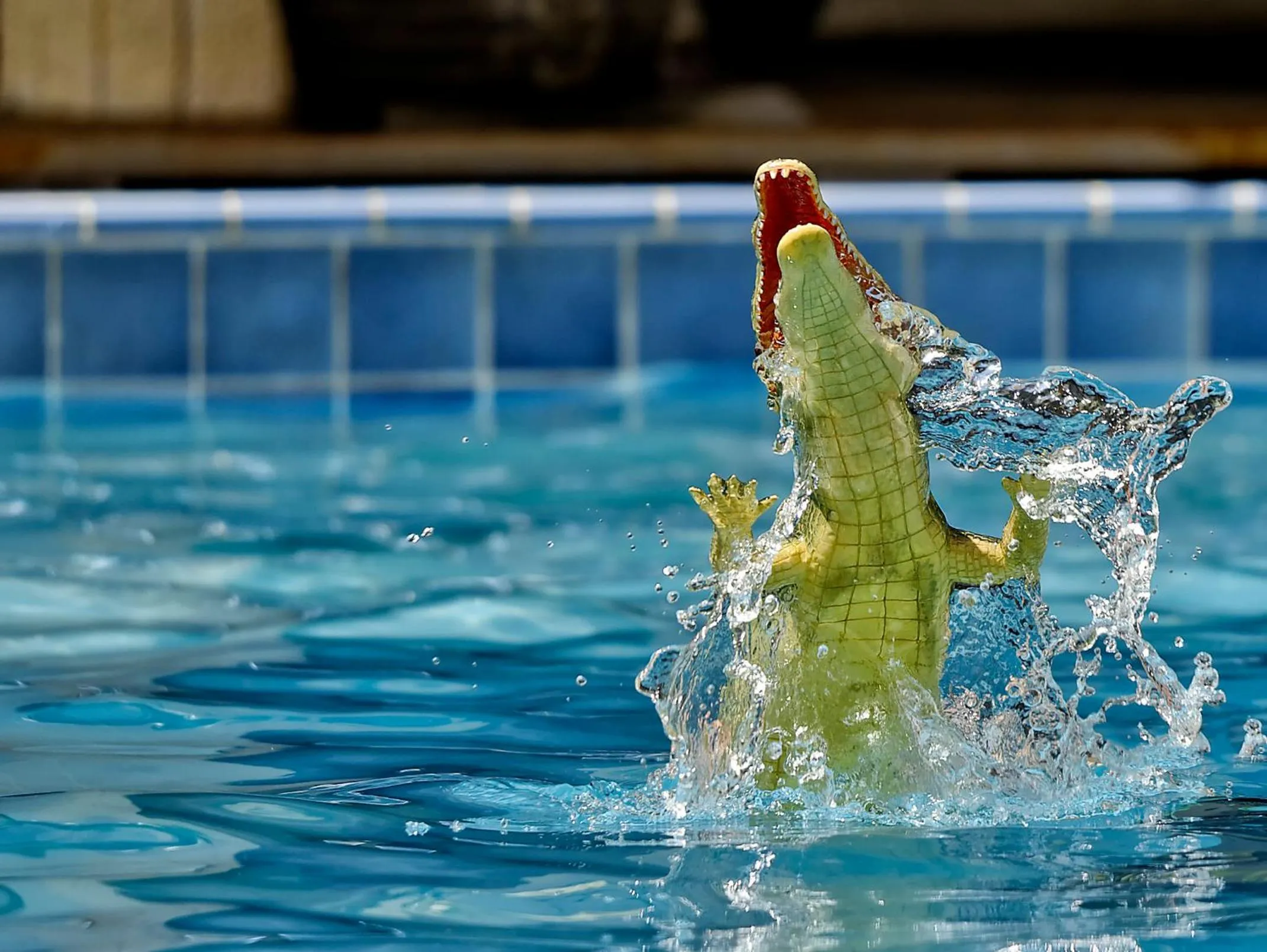 Swimming pool in Carana Hilltop Villa Seychelles