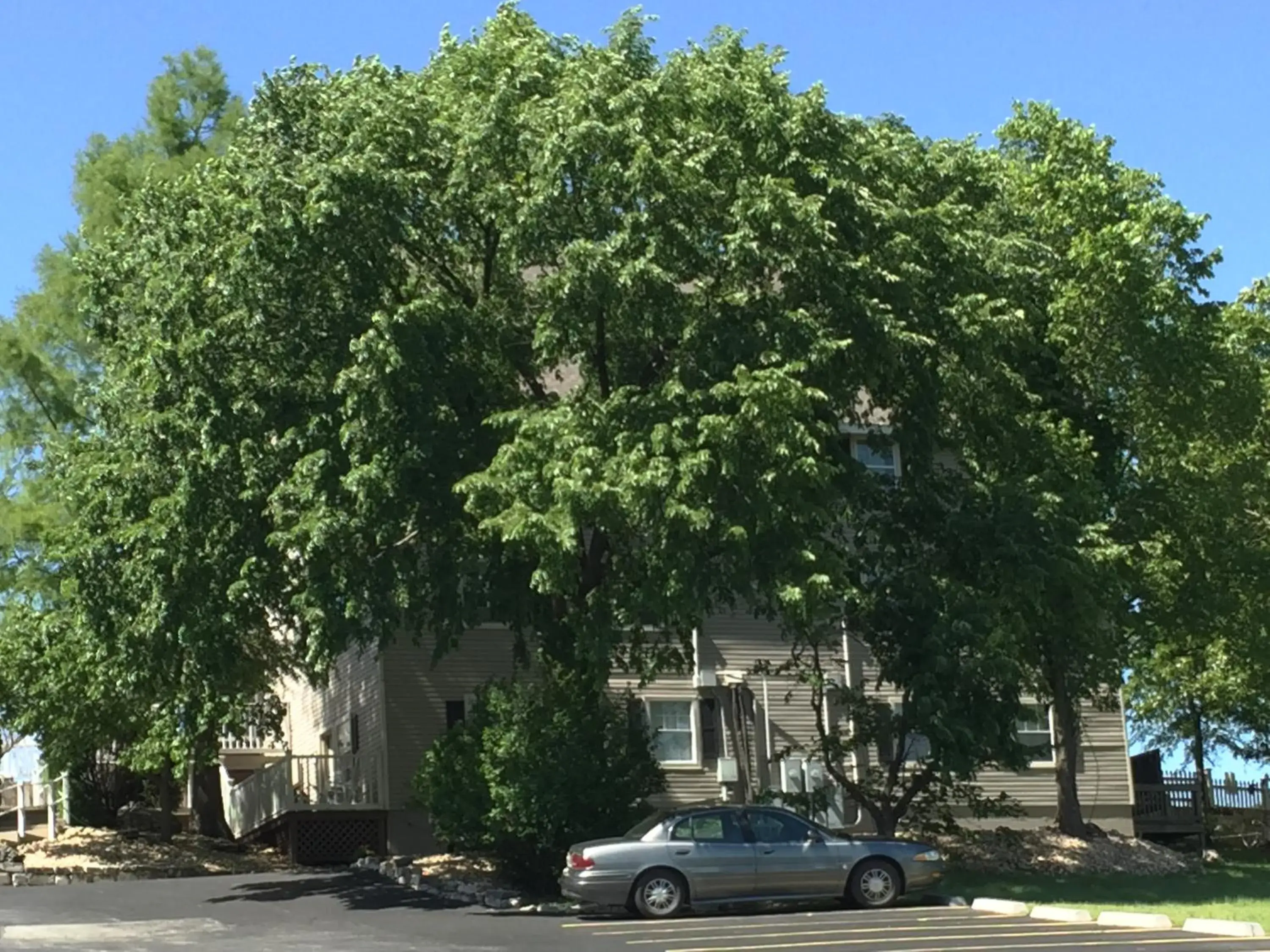 Property building in Gazebo Inn Property building in Gazebo Inn