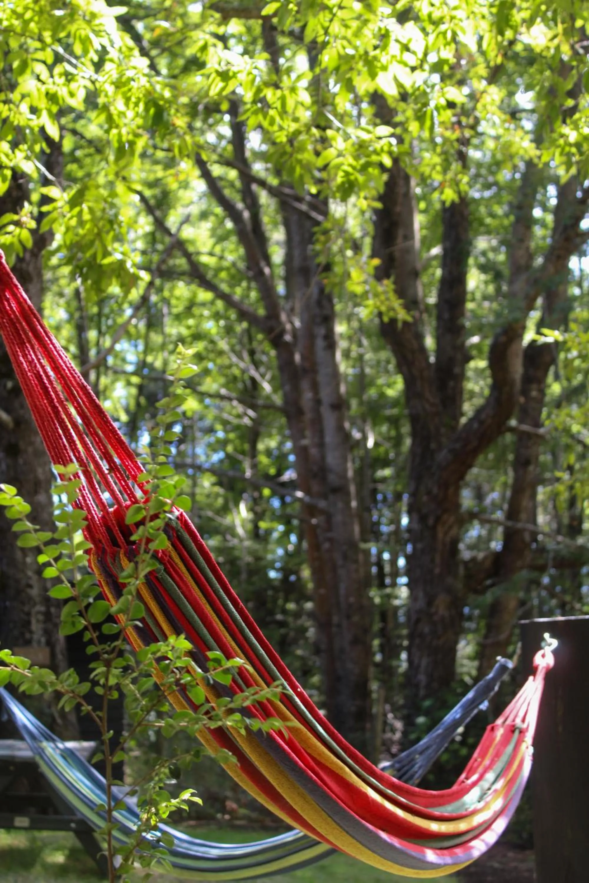 Other in NI-NEWEN Hotel & Lodge