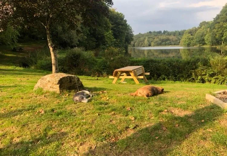 Restaurant/places to eat in La forge b&b