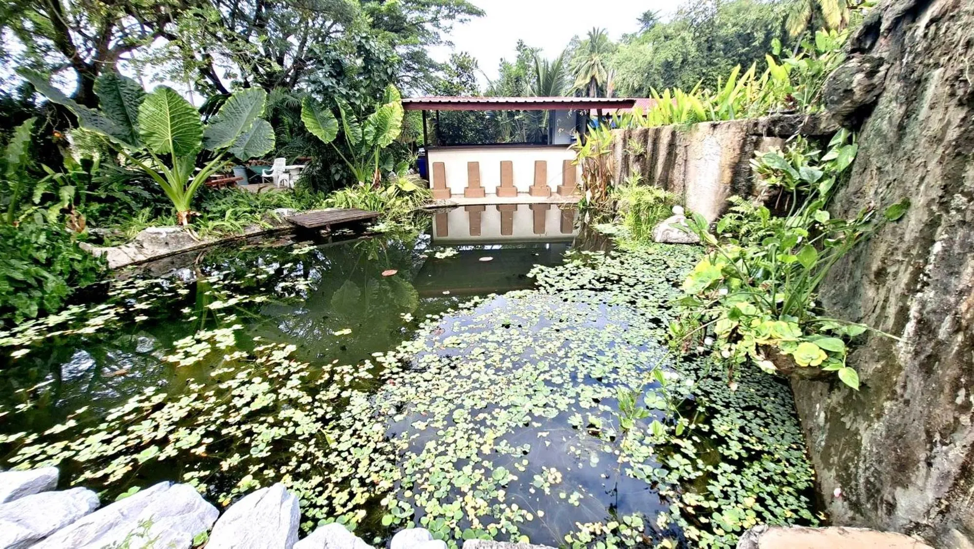 Garden in Bua Daeng Homestay Resort