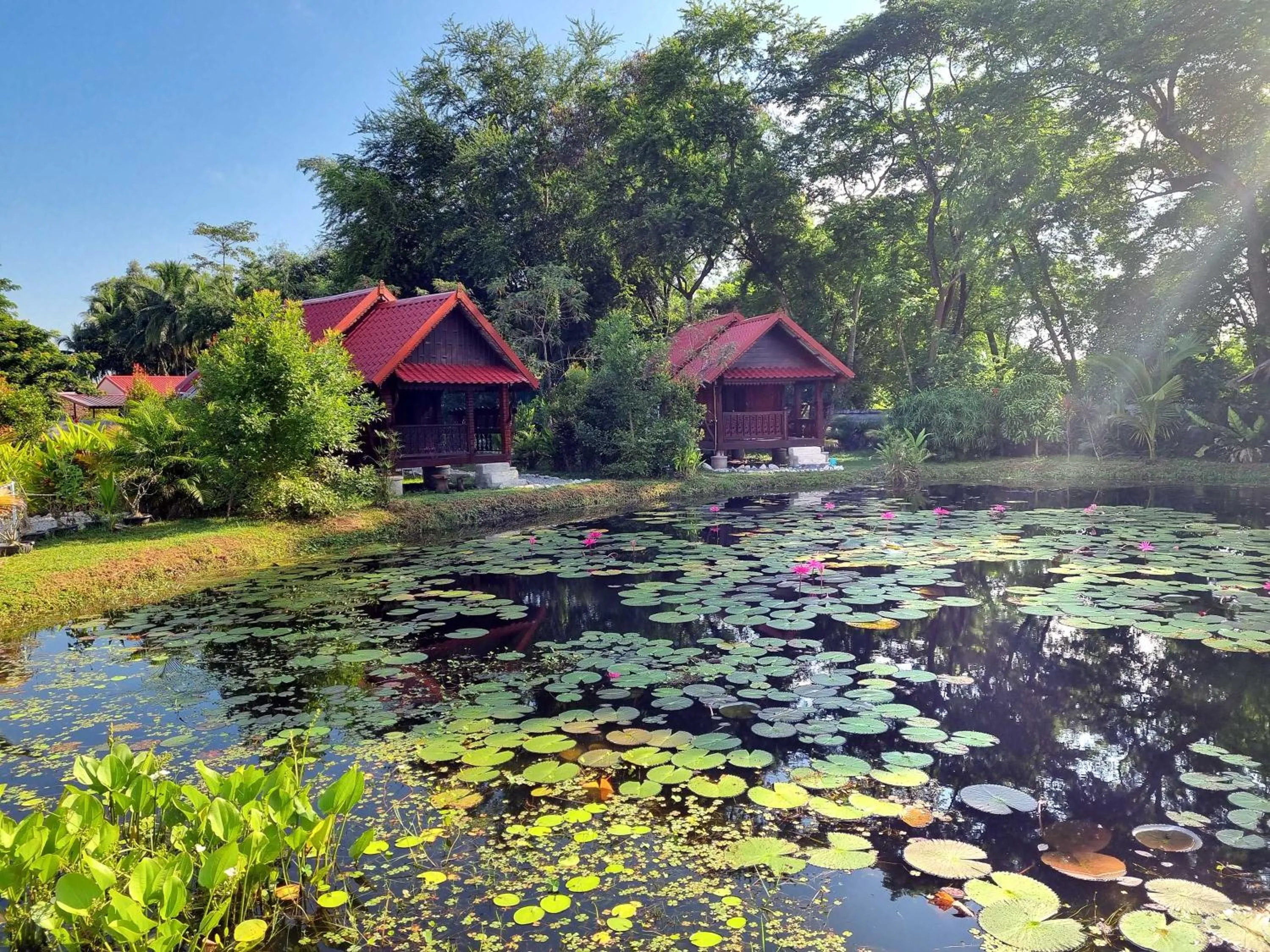 Garden view in Bua Daeng Homestay Resort