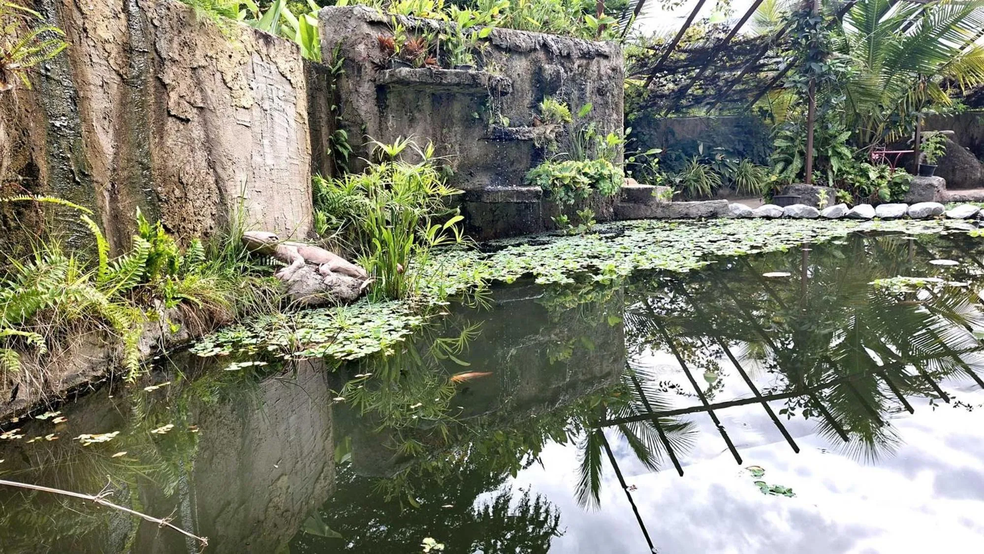 Garden in Bua Daeng Homestay Resort