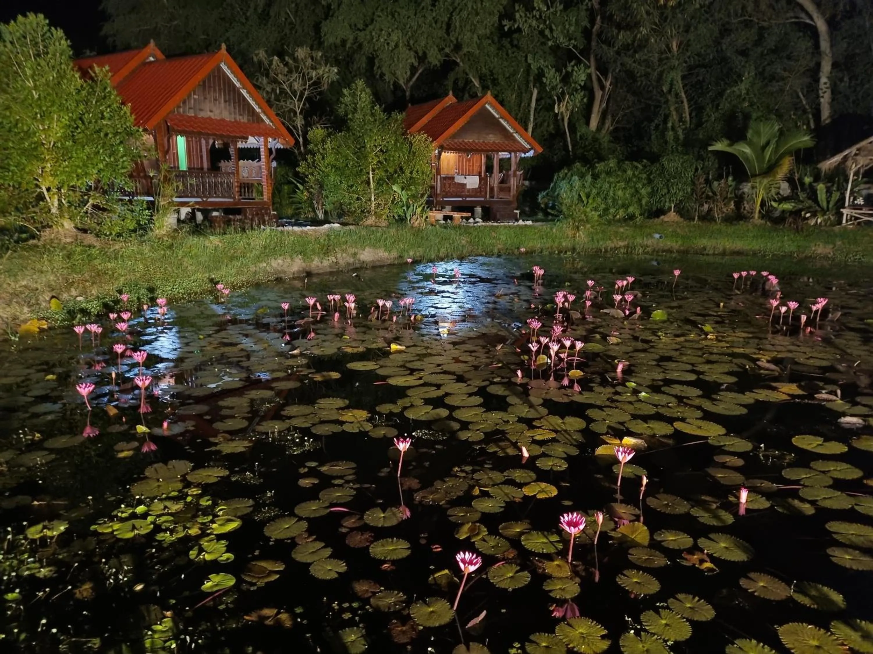 Night in Bua Daeng Homestay Resort