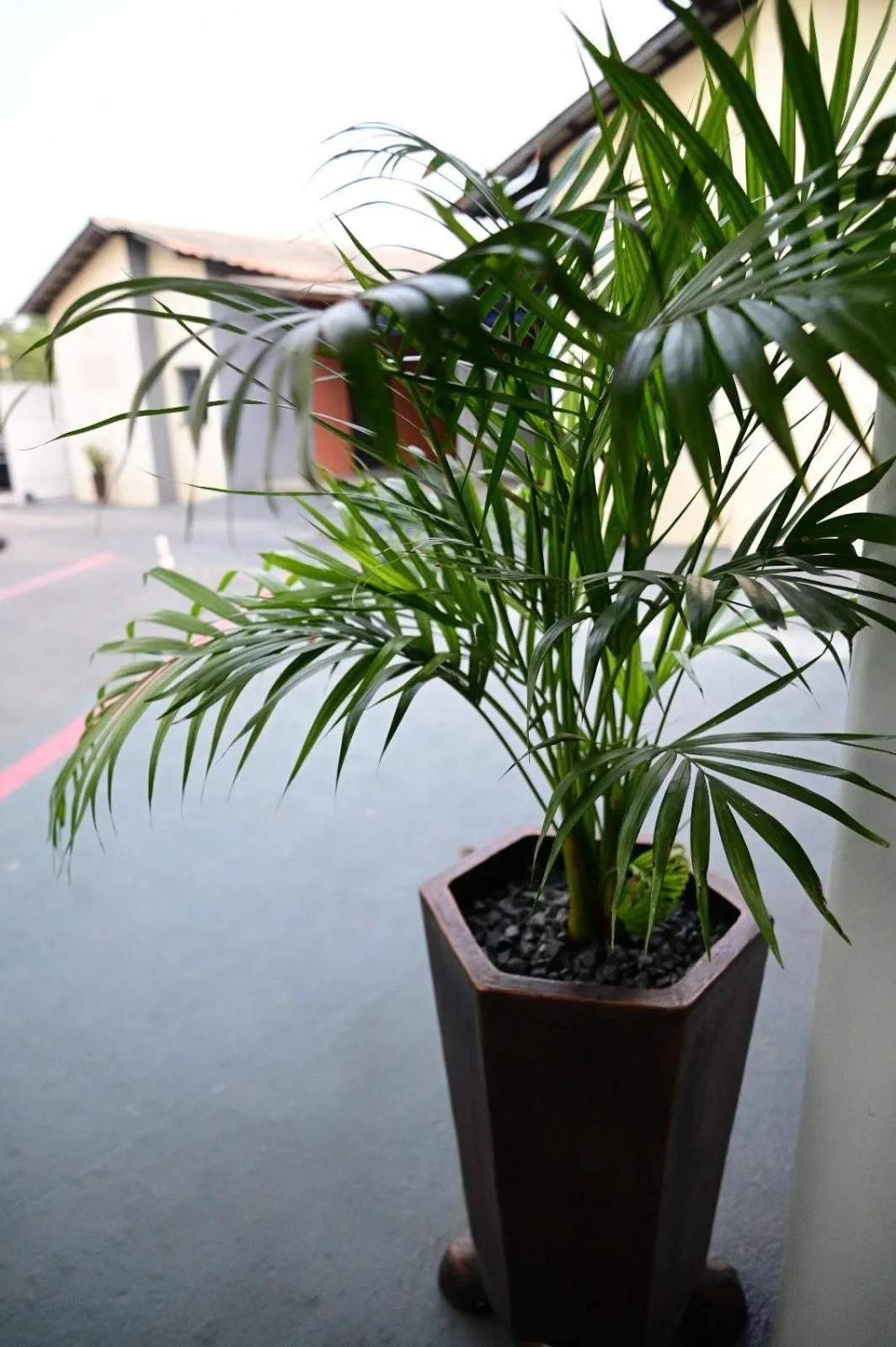 Hotel Jardim Tropical