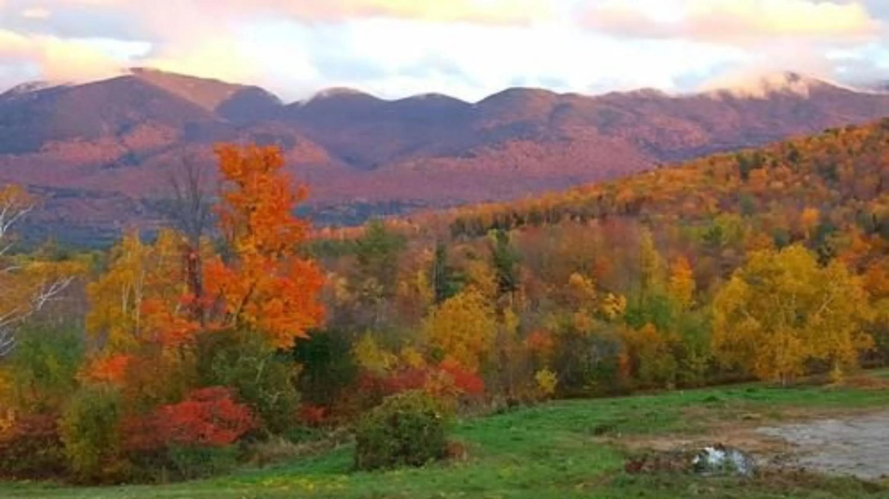 Other in Sunset Hill House