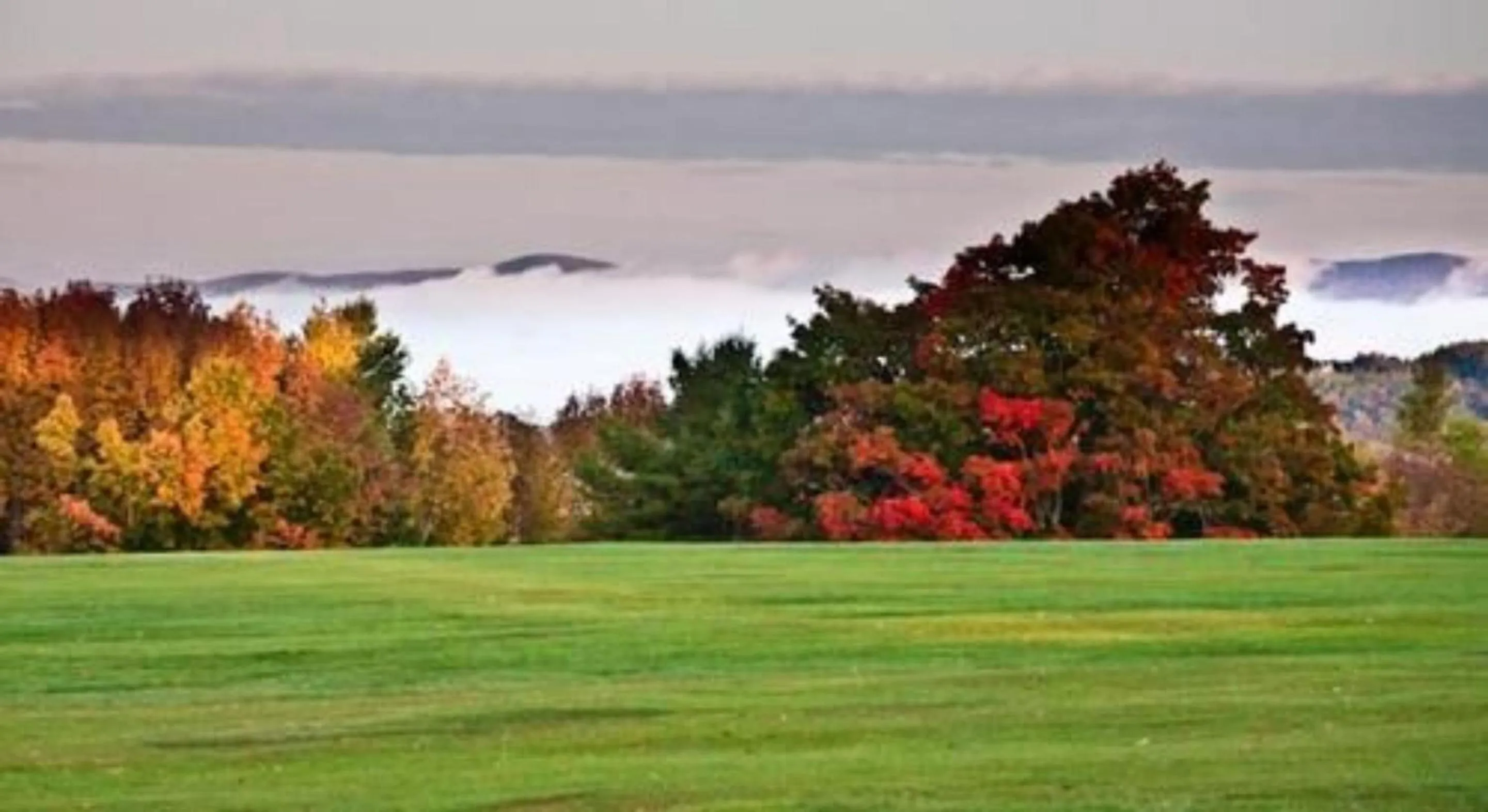 Other in Sunset Hill House