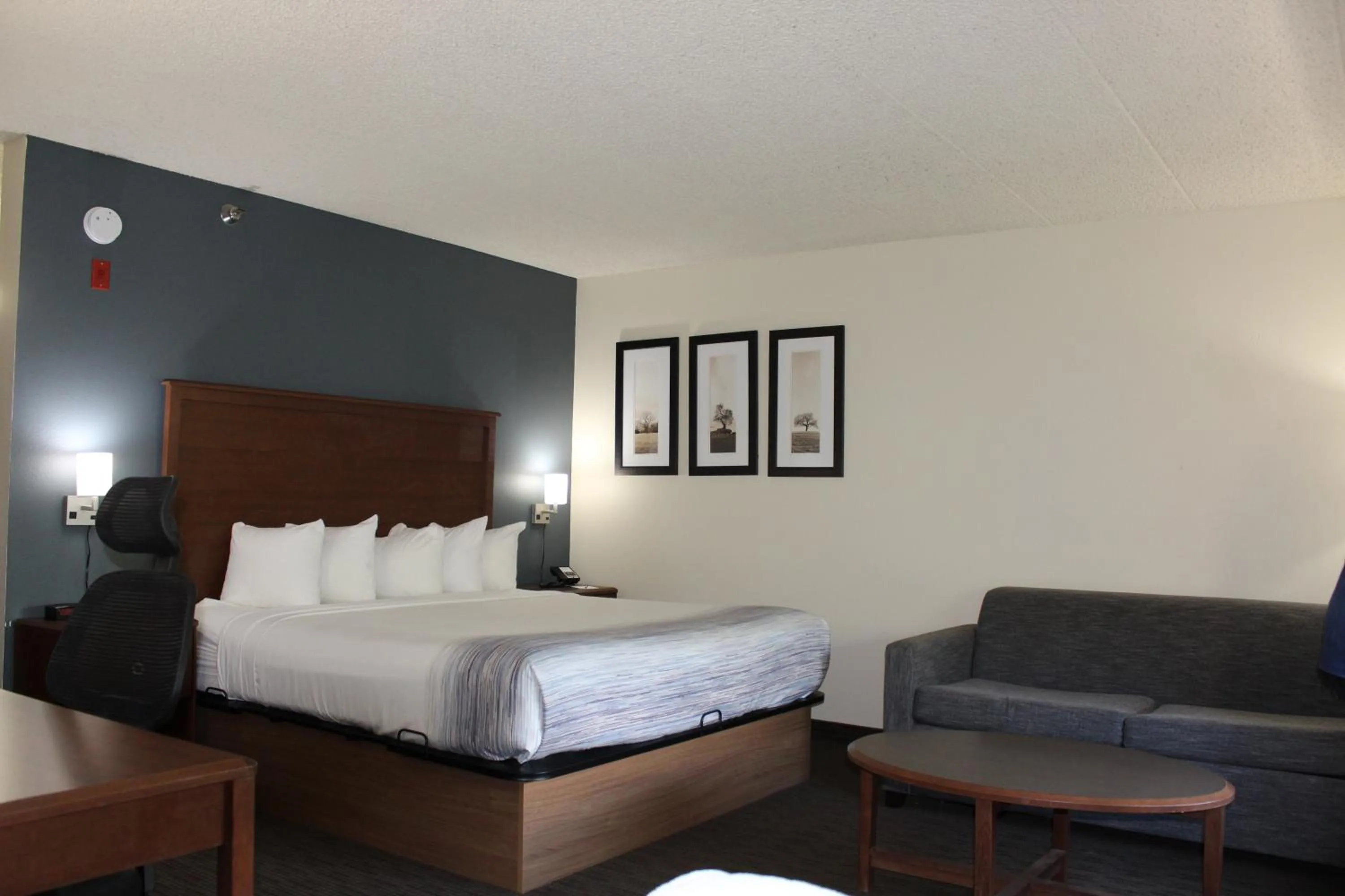 Bed in AmericInn by Wyndham Windsor Ft. Collins