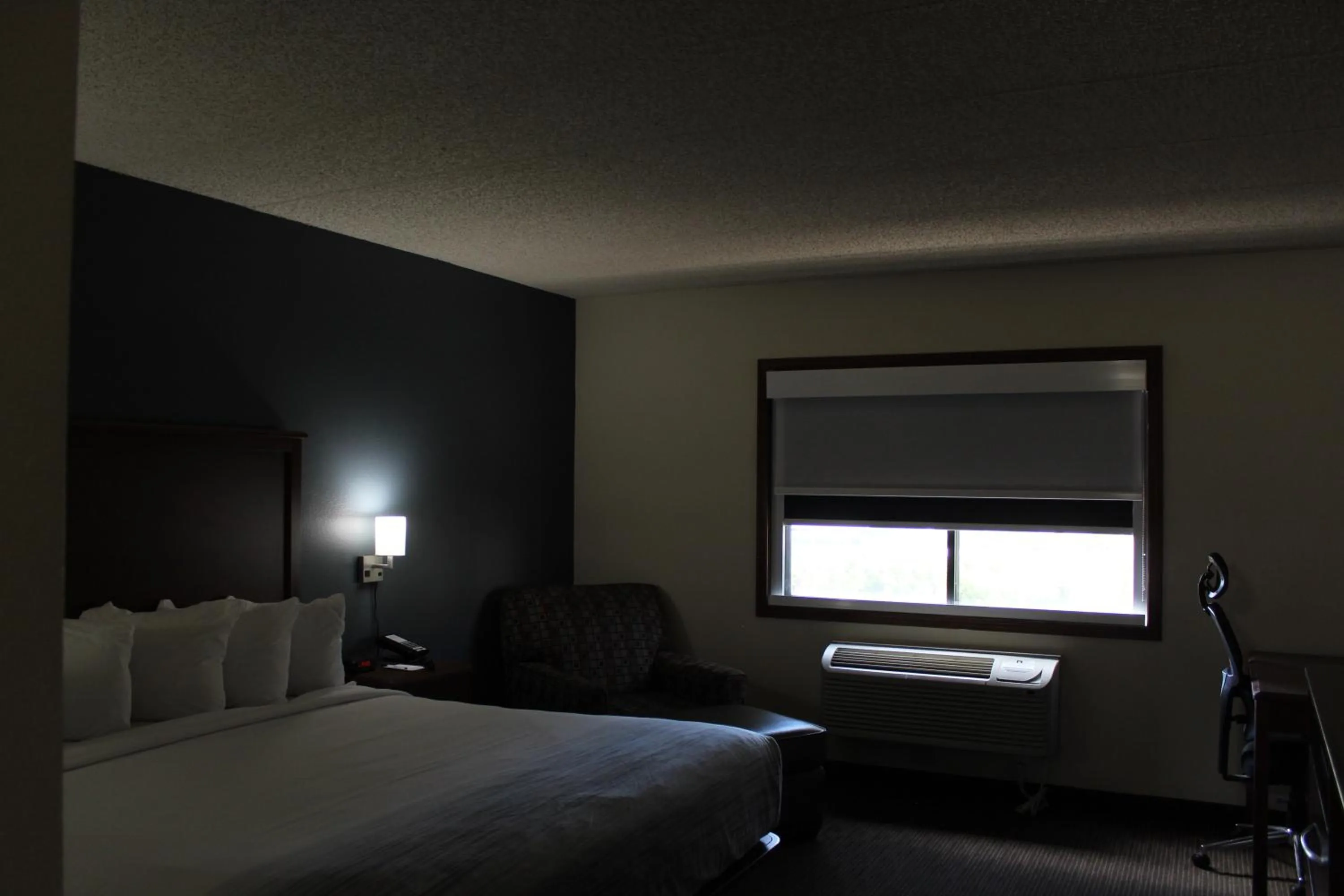 Bed in AmericInn by Wyndham Windsor Ft. Collins