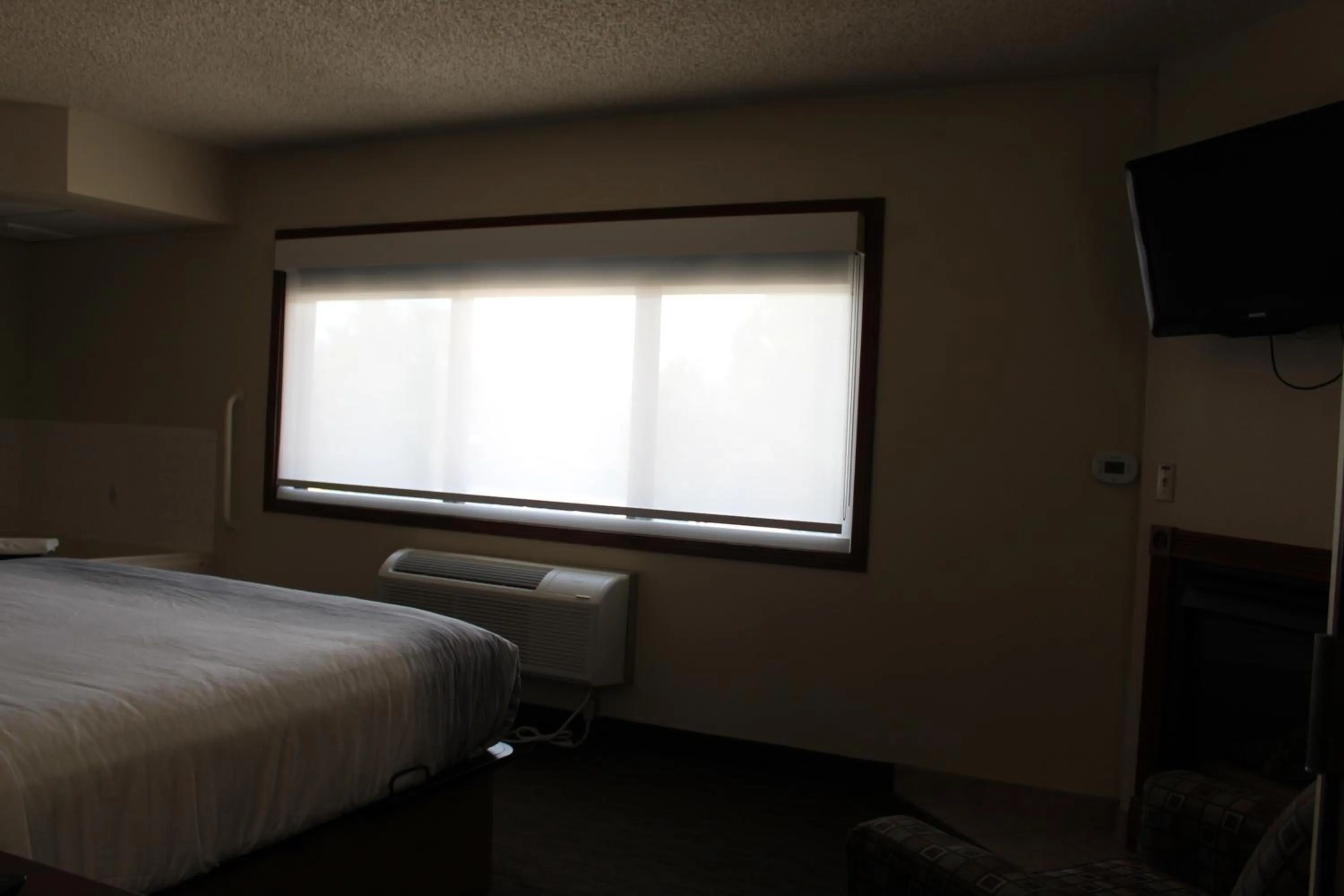 Bed in AmericInn by Wyndham Windsor Ft. Collins