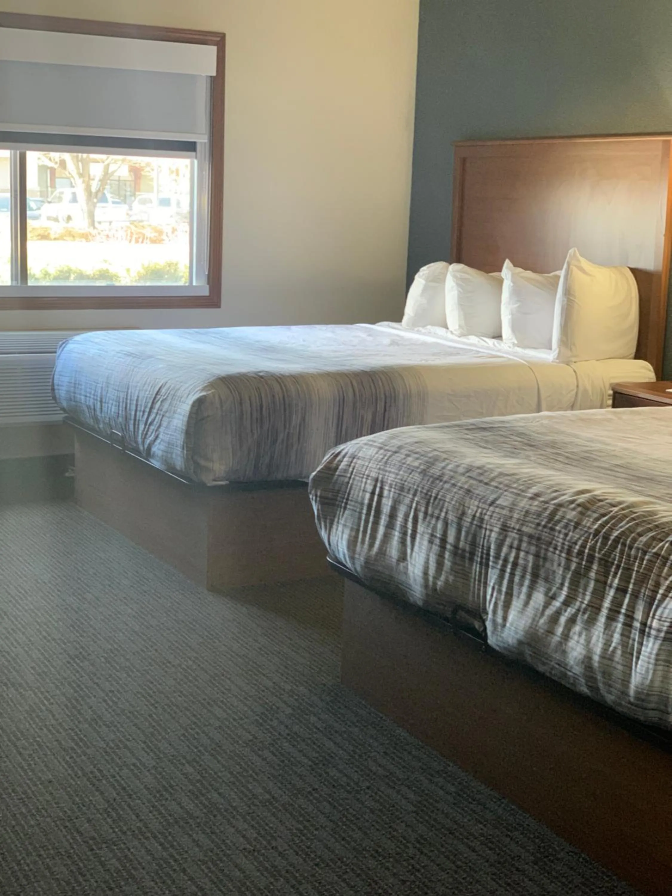 Bed in AmericInn by Wyndham Windsor Ft. Collins