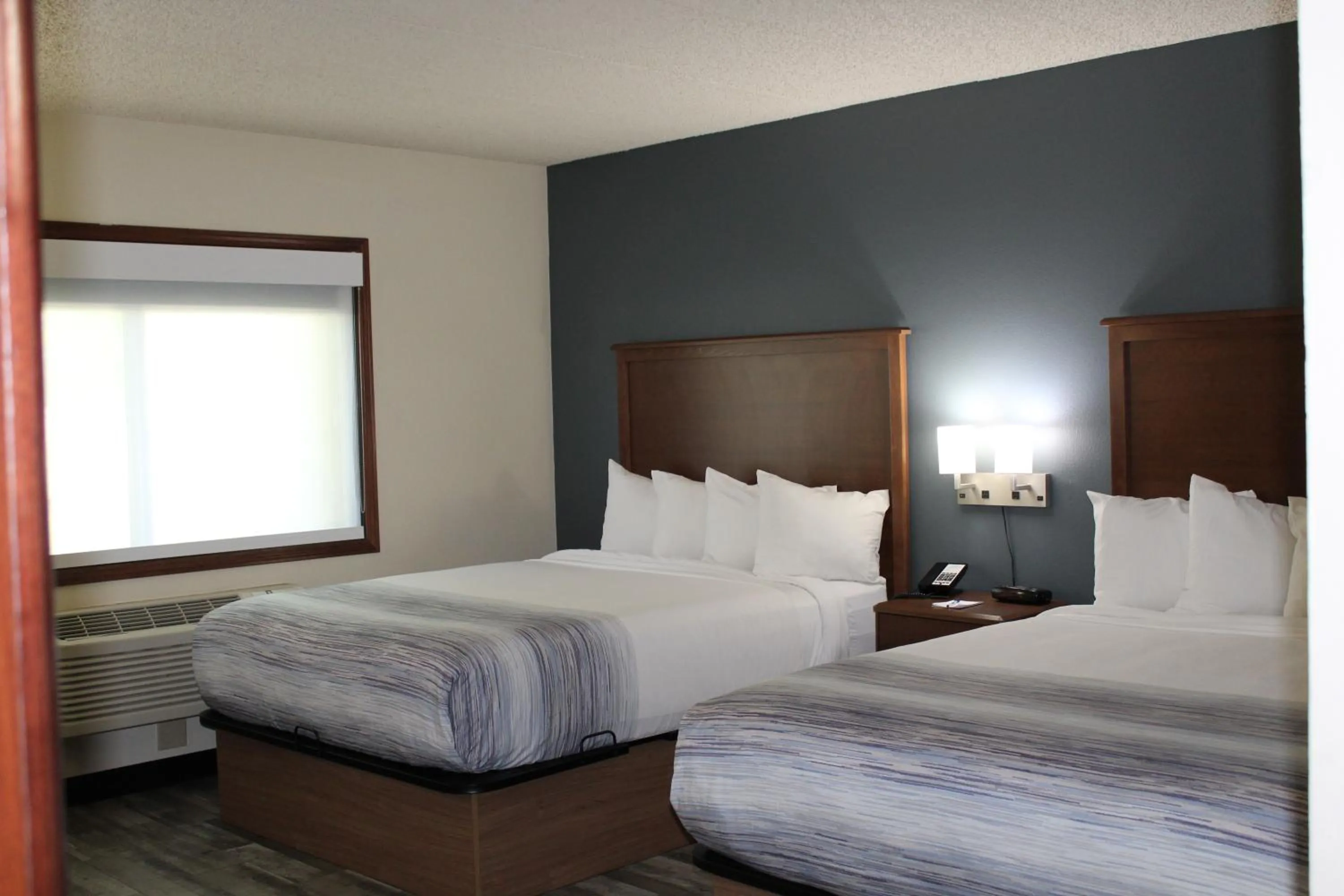 Bed in AmericInn by Wyndham Windsor Ft. Collins