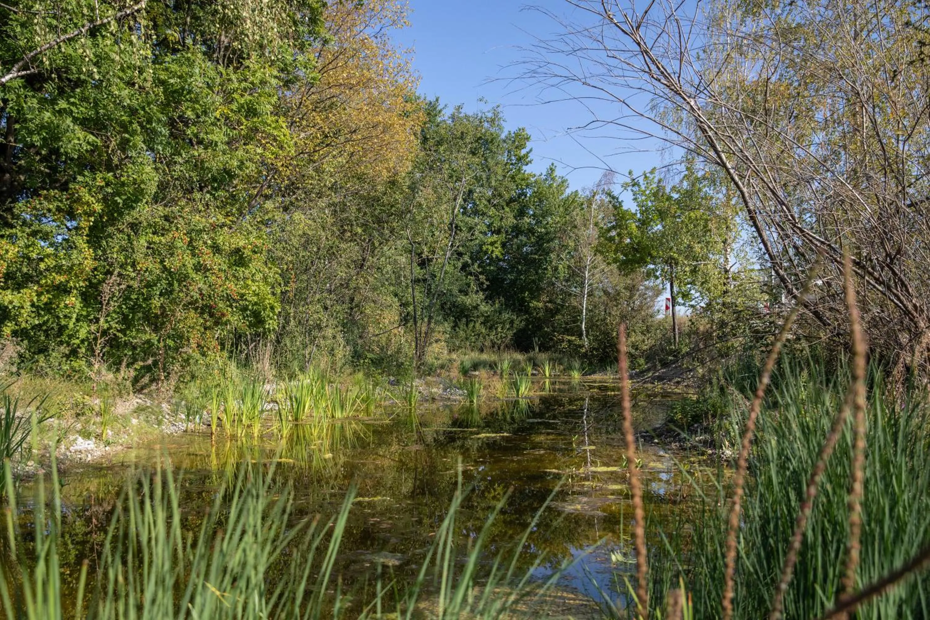 Day in Hyatt Place Zurich Airport the Circle
