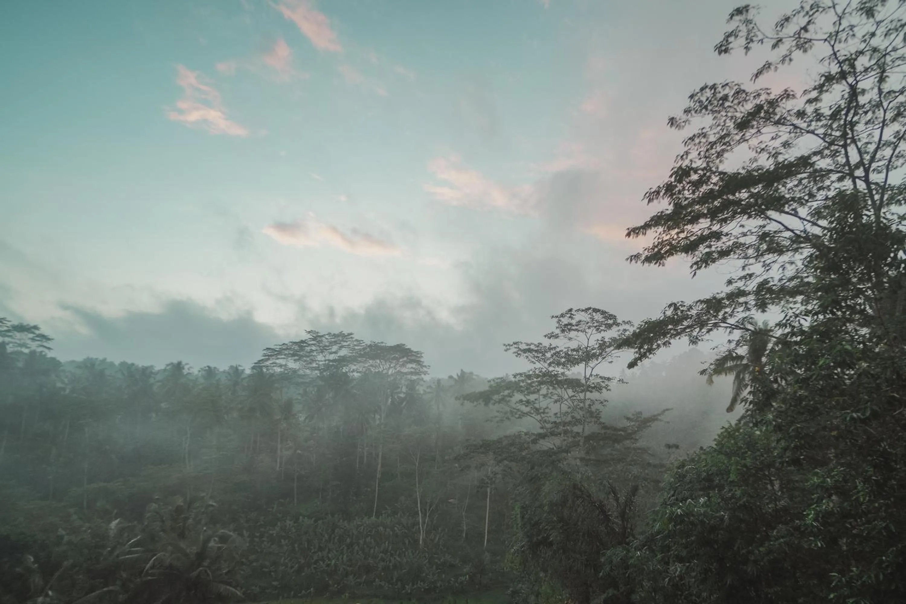 Woywoy Escape Bresela Adults Only