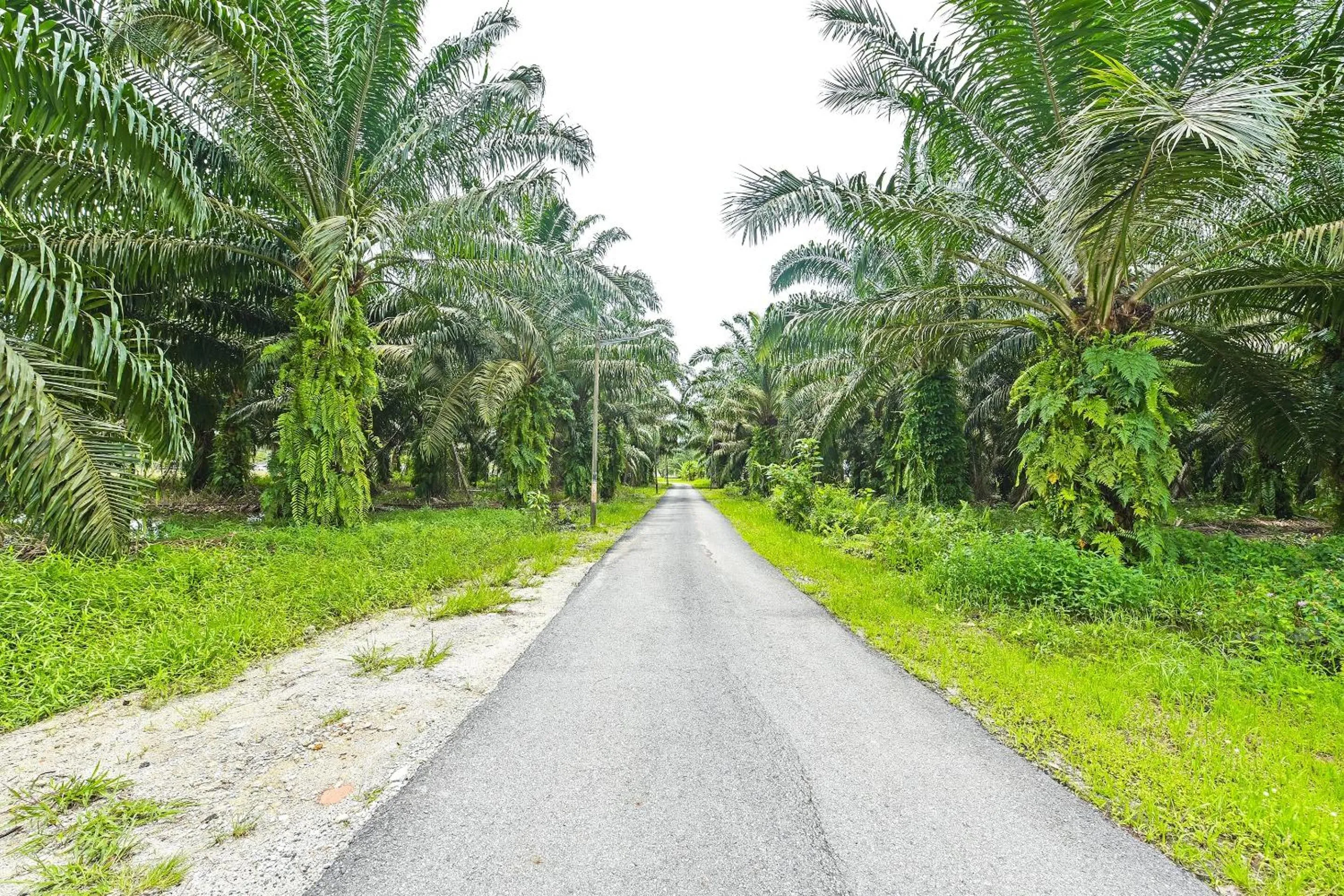 Lobby or reception in Hotel O Jentayu Homestay Pontian