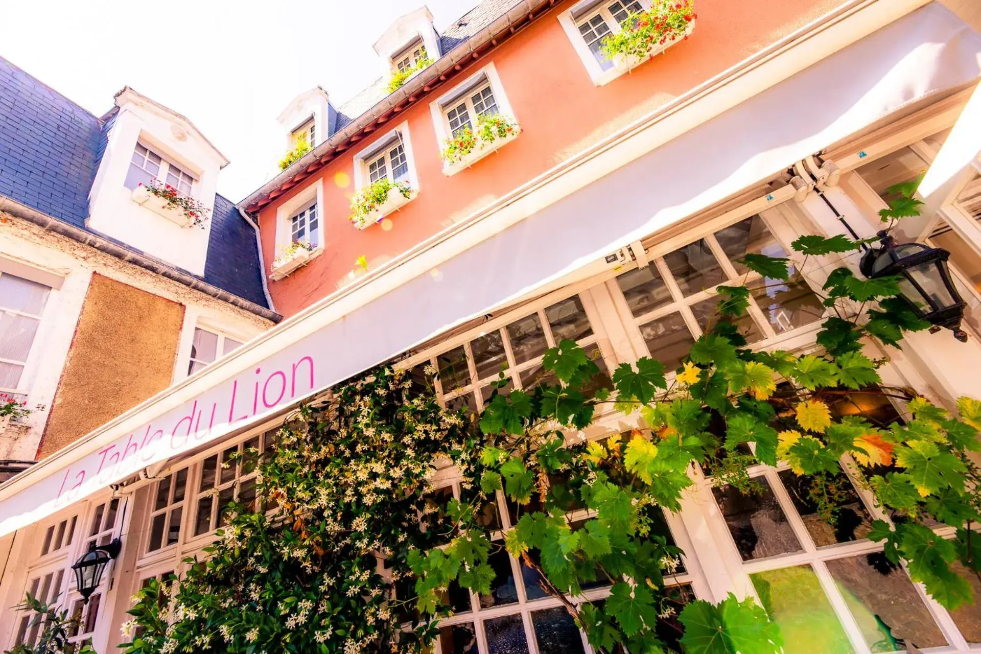 Facade/entrance in Hotel Le Lion D'Or et Restaurant La Table Du Lion Facade/entrance in Hotel Le Lion D'Or et Restaurant La Table Du Lion