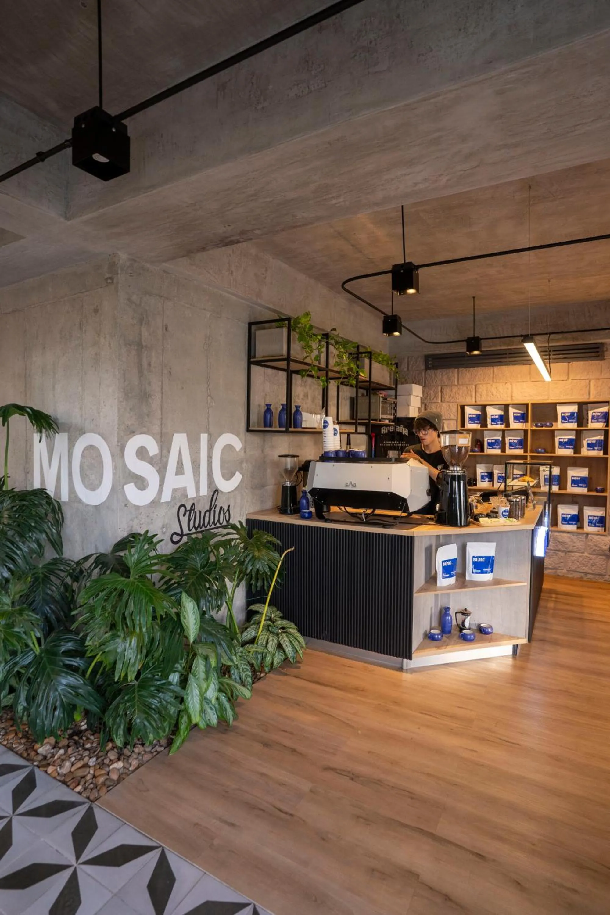 Mosaic Studios Buenavista