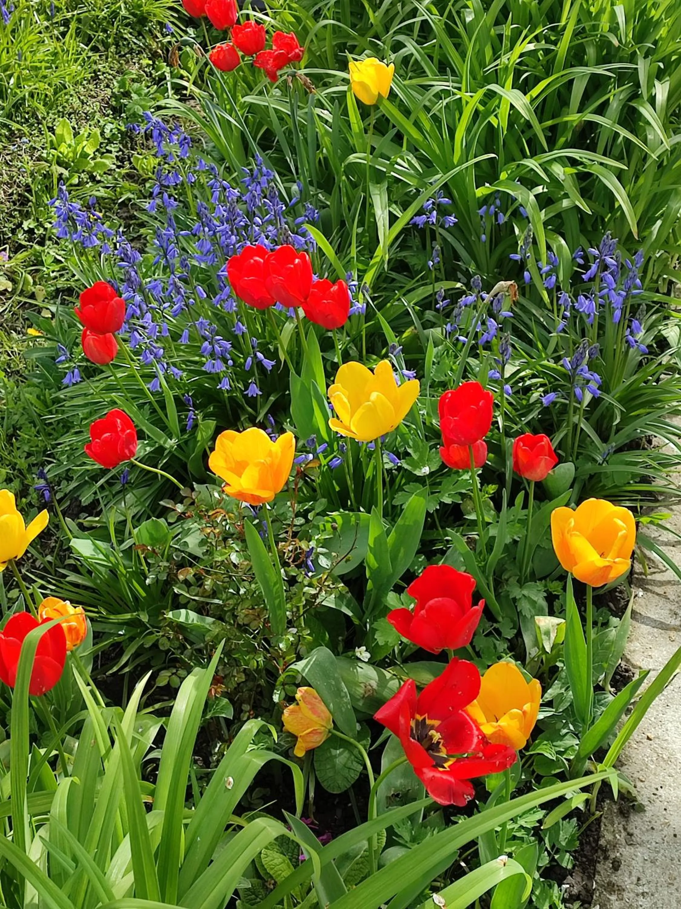 Spring in Entre Meuse et forêt