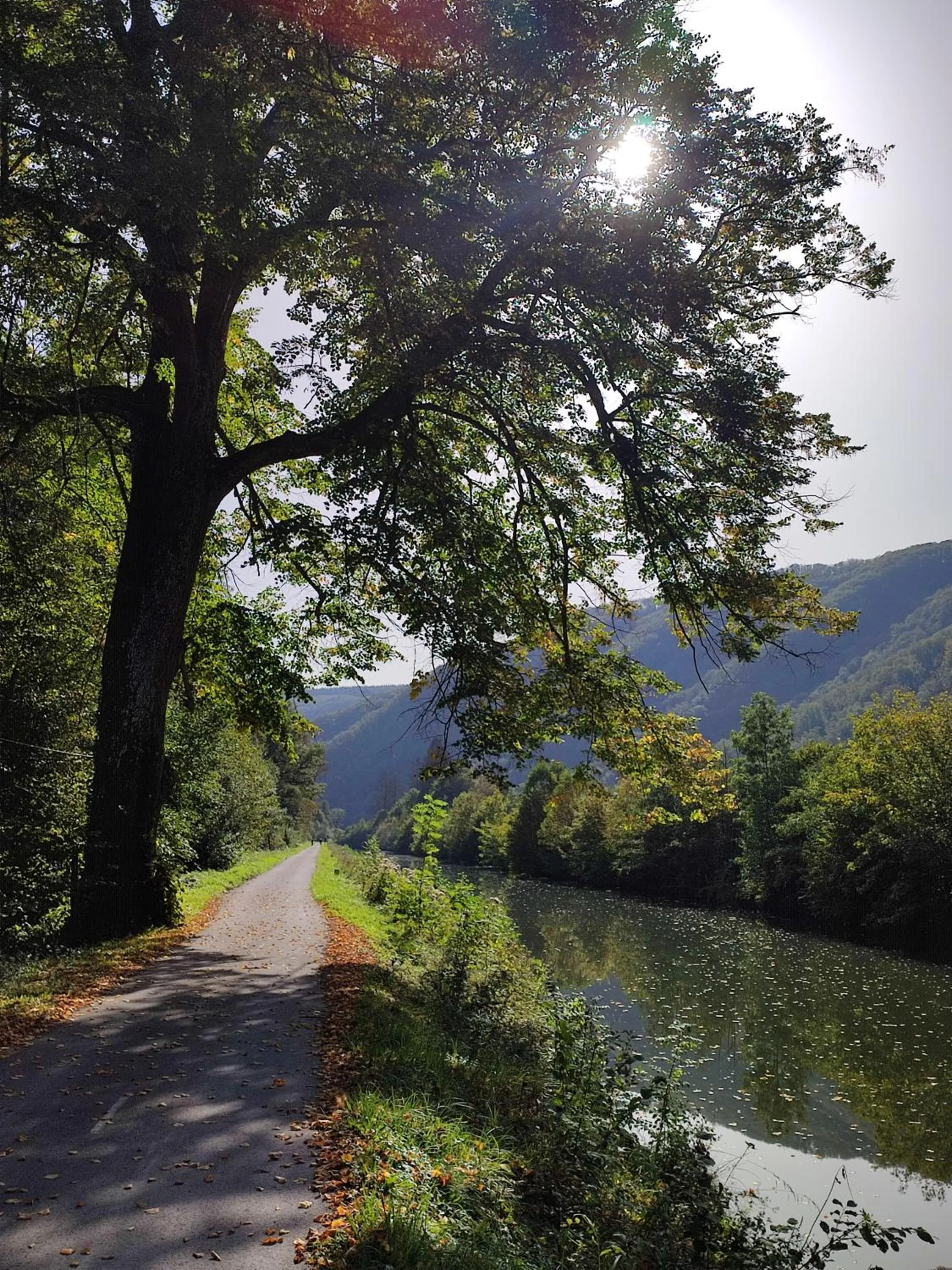 Natural landscape in Entre Meuse et forêt