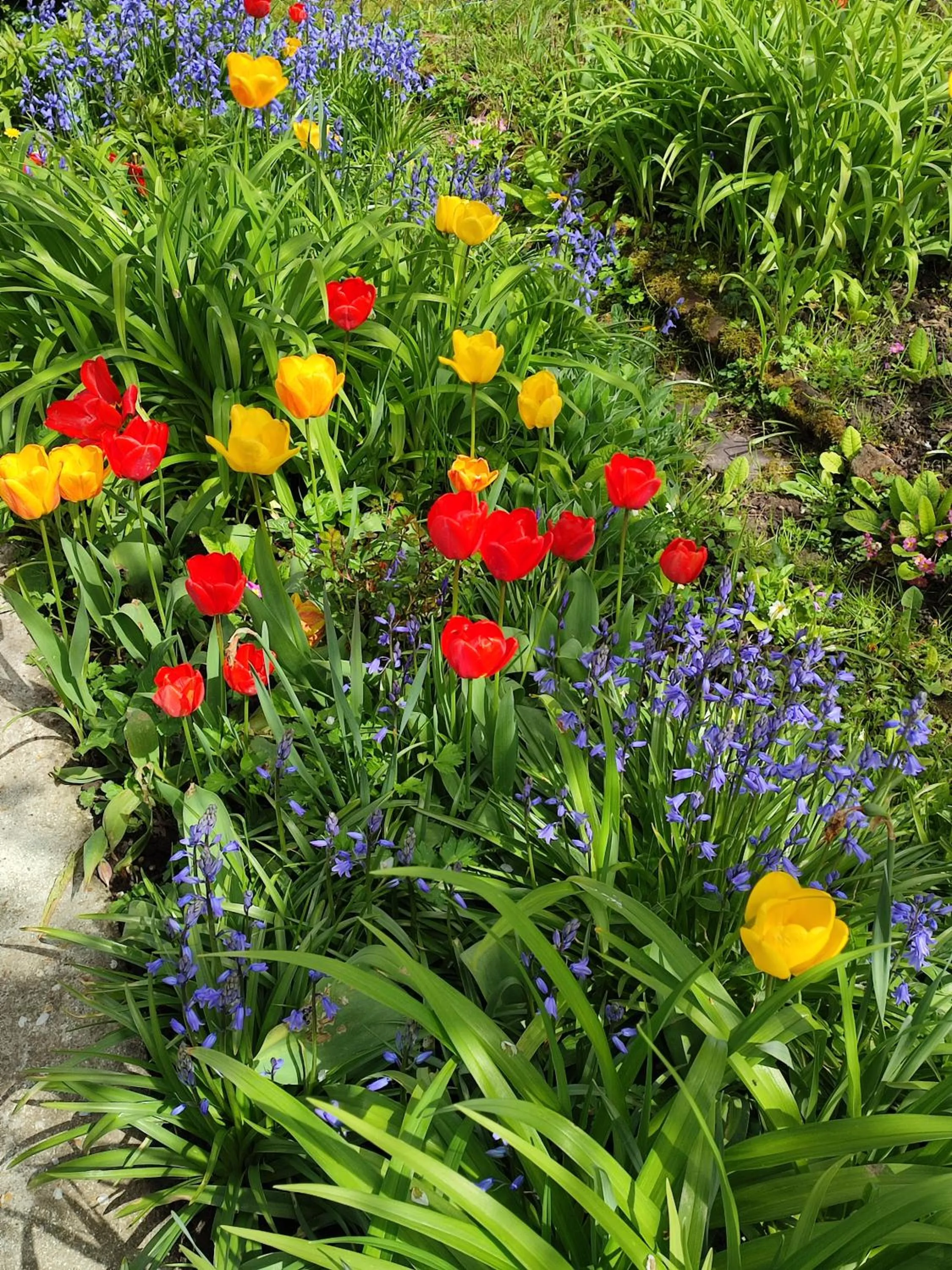 Spring in Entre Meuse et forêt