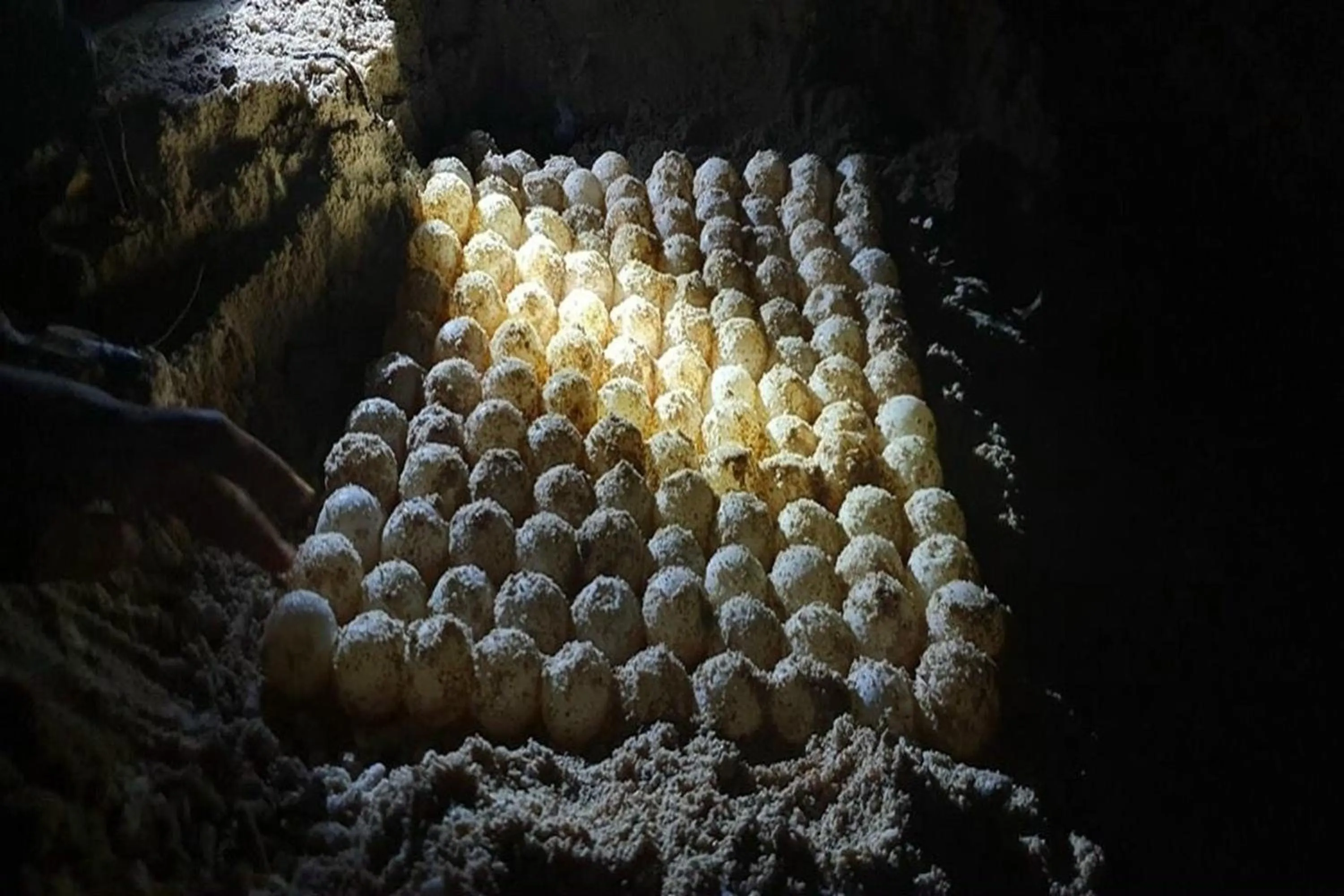 Sea view in Phuc Con Son Hotel