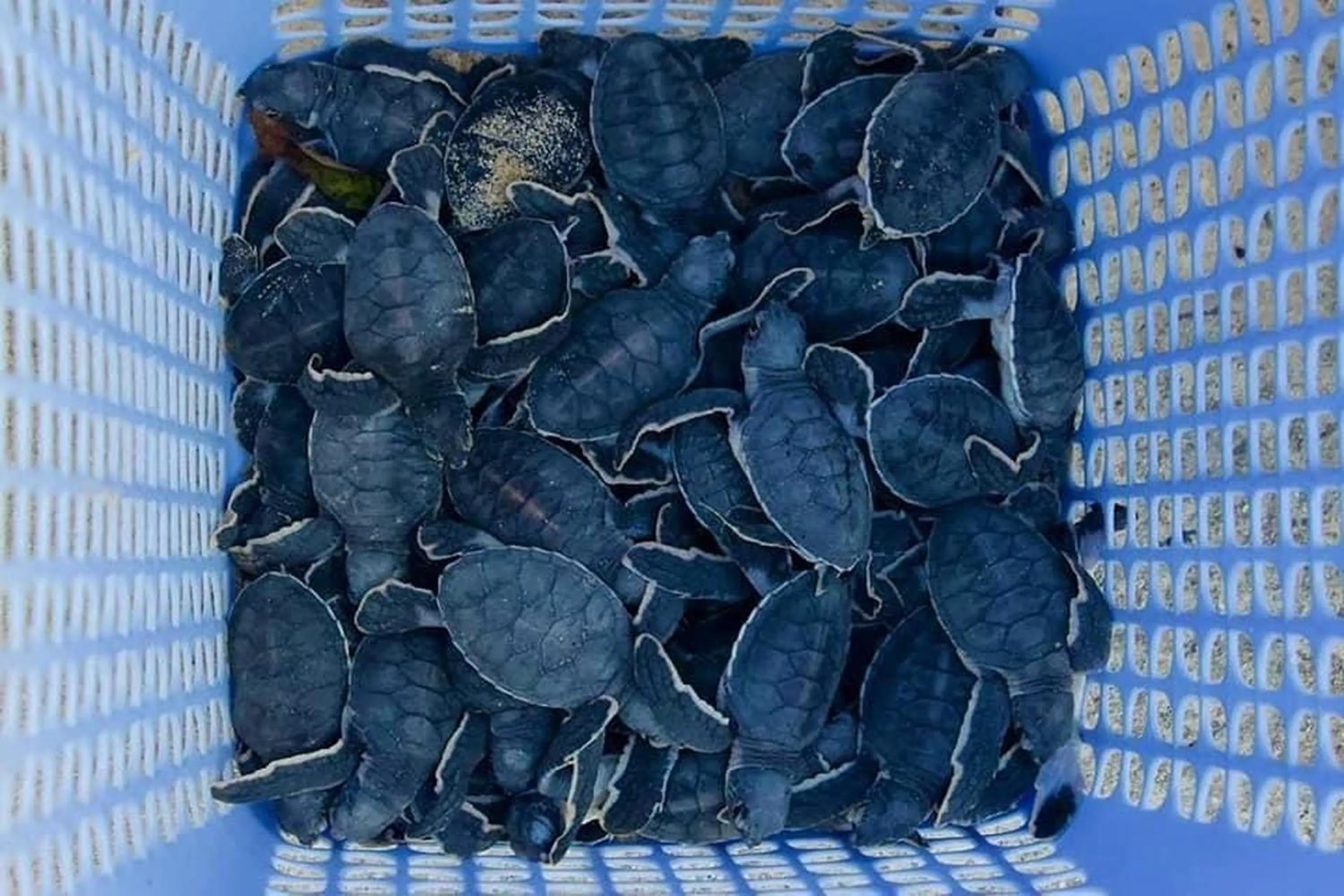 Sea view in Phuc Con Son Hotel