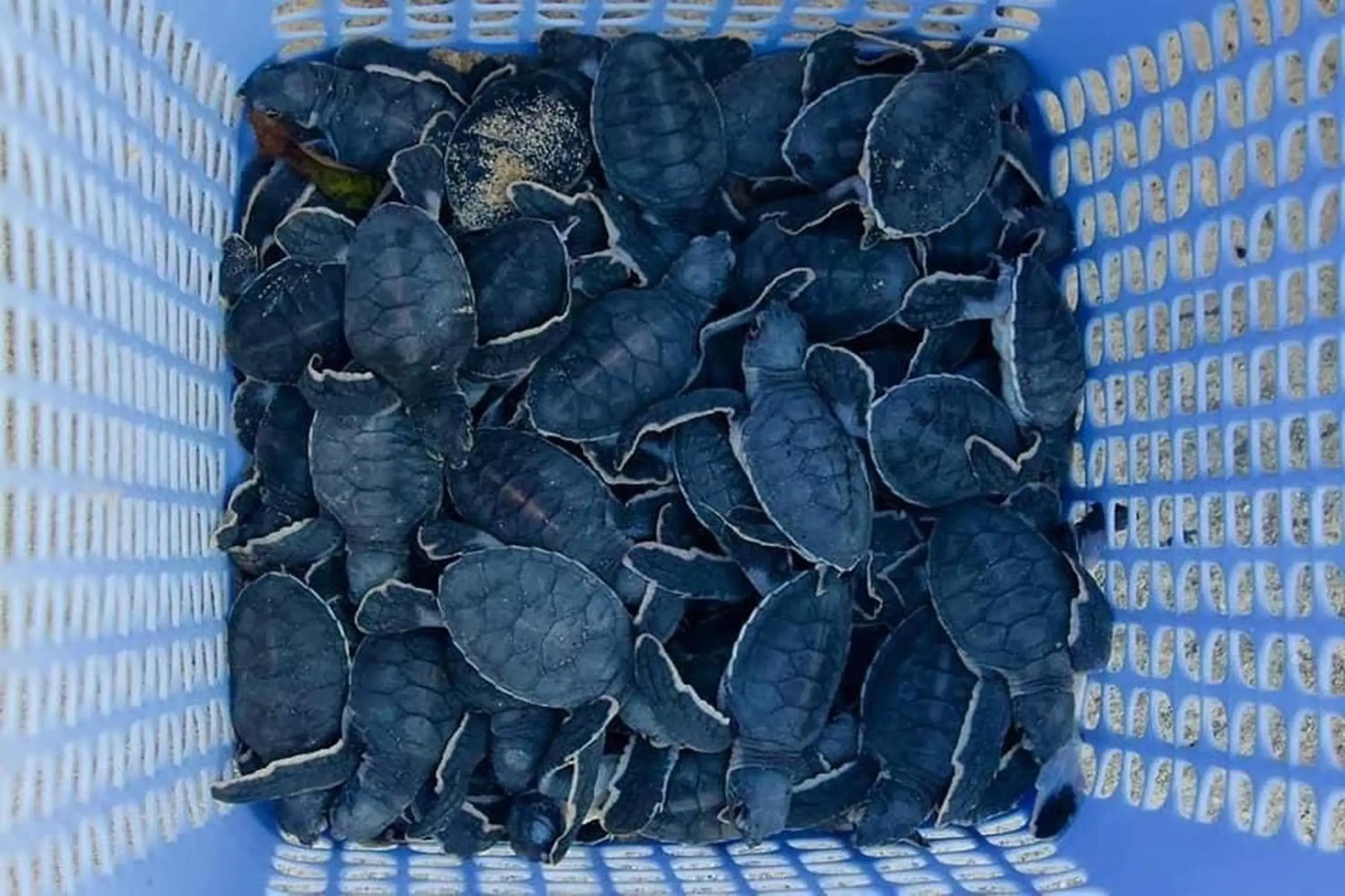 Sea view in Phuc Con Son Hotel Sea view in Phuc Con Son Hotel