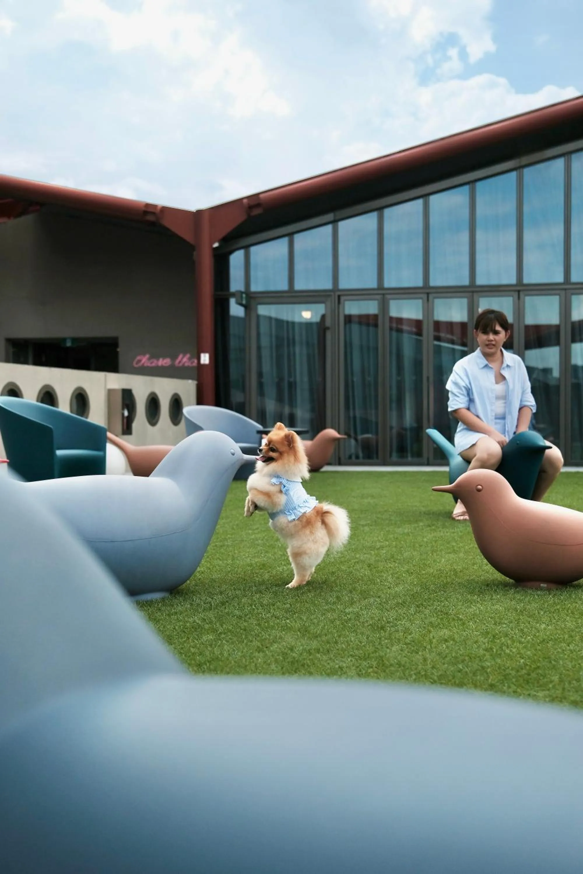 Pets in lyf one-north Singapore