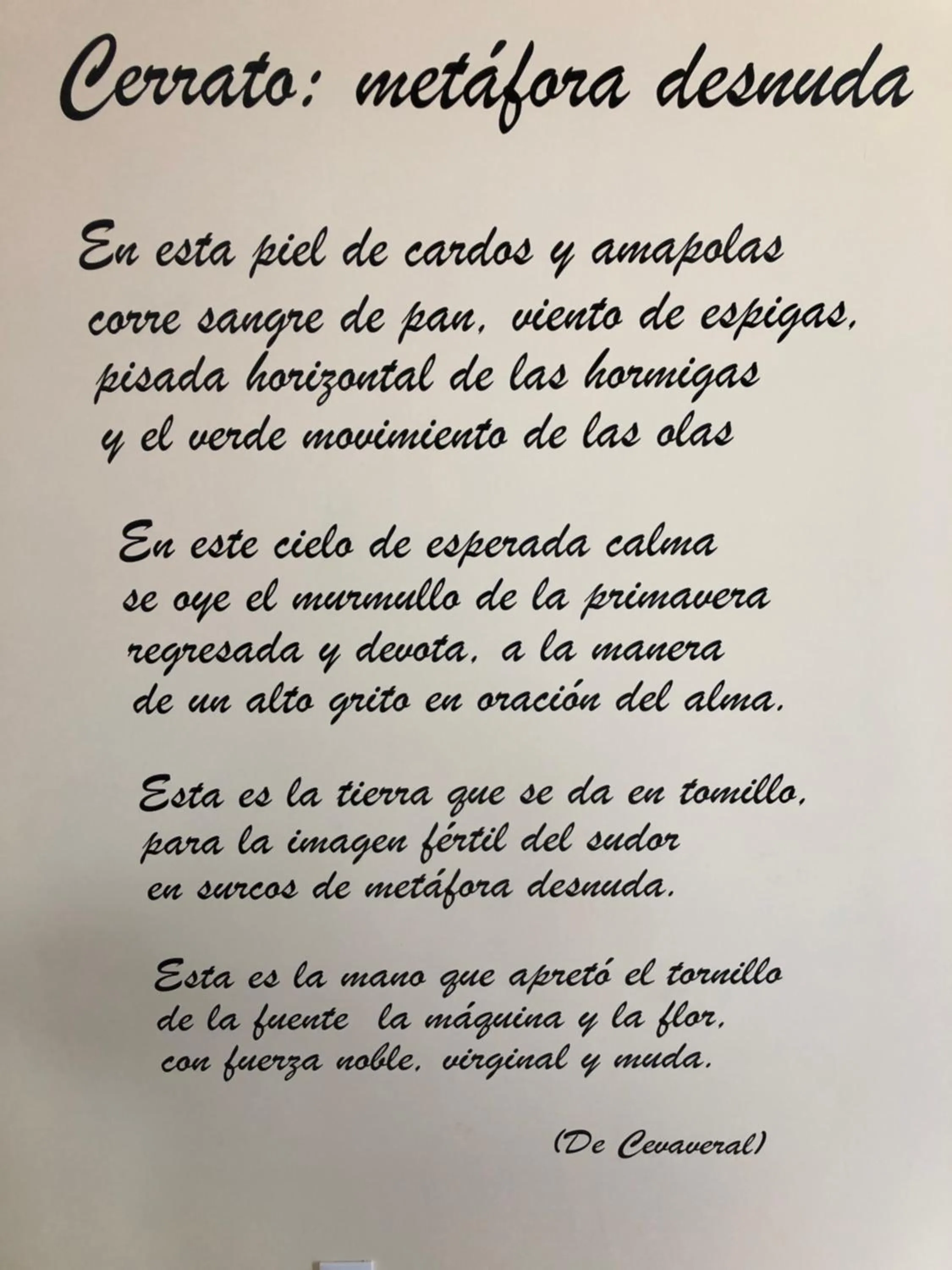 Lobby or reception in Apartamentos Turísticos ESCORRALADAS
