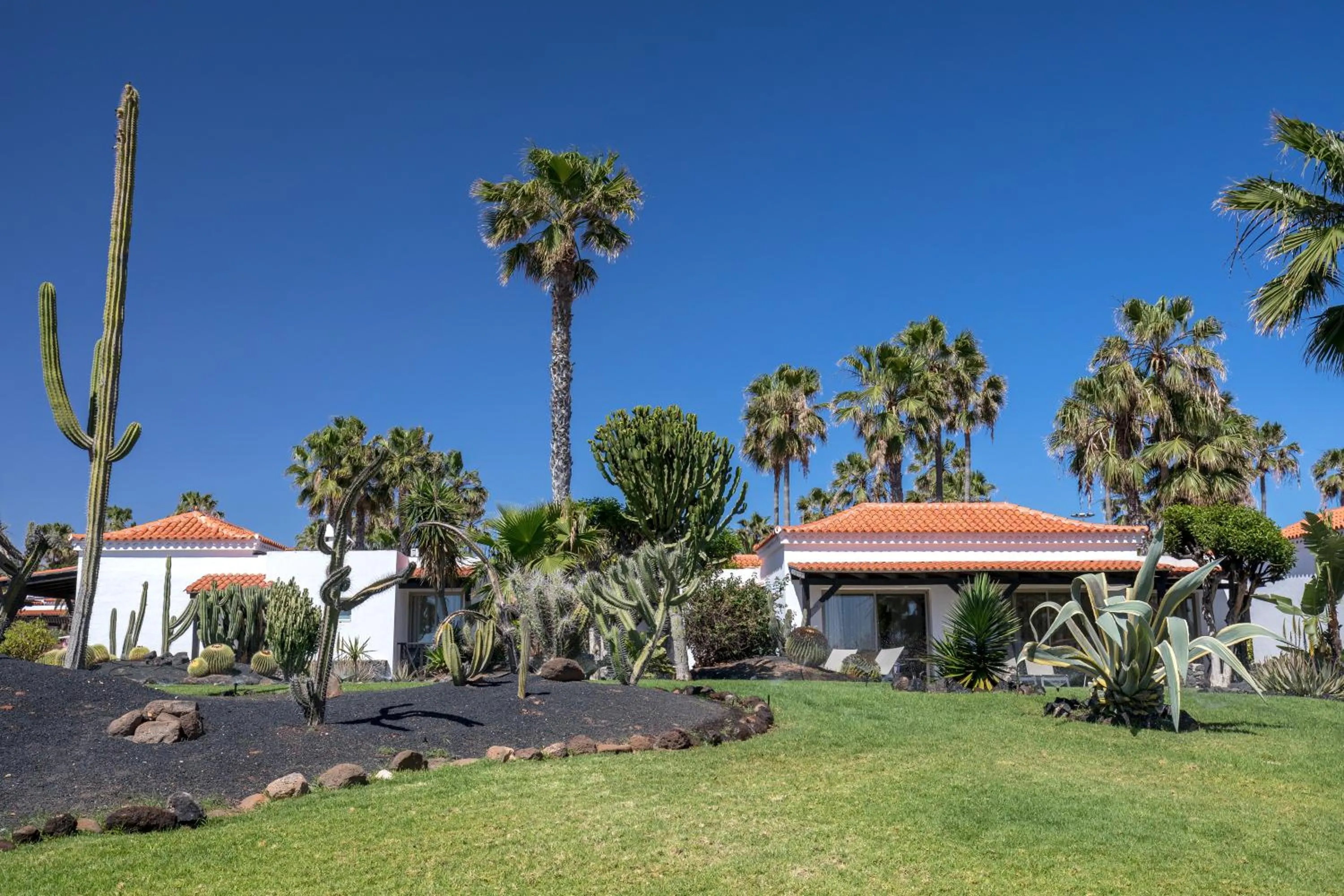 Natural landscape in Barceló Fuerteventura Royal Level - Adults Only