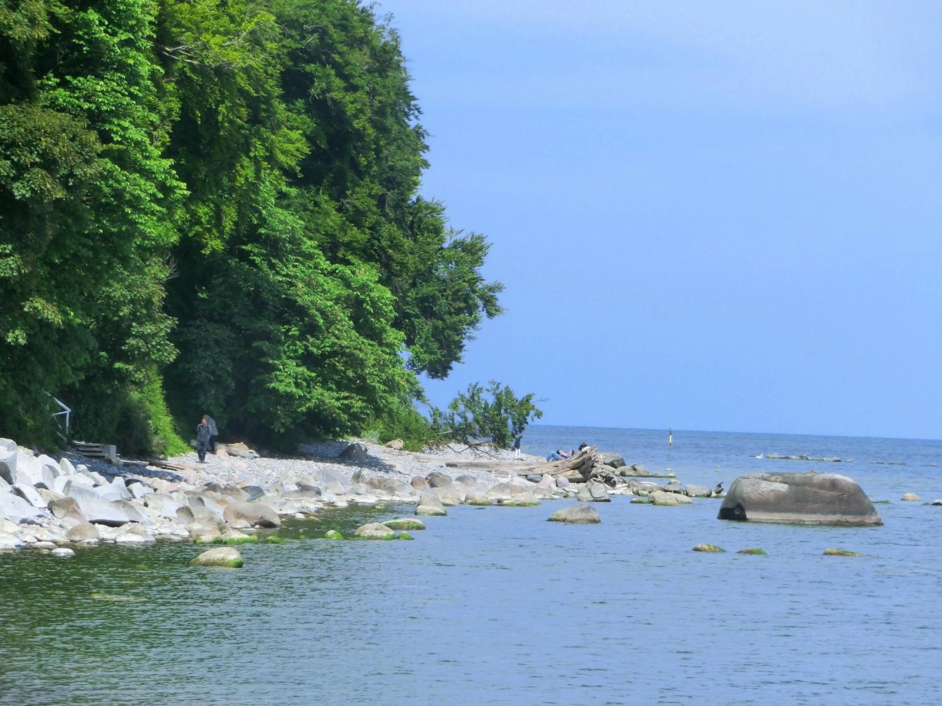 Area and facilities in Restaurant & Hotel Baumhaus Hagen