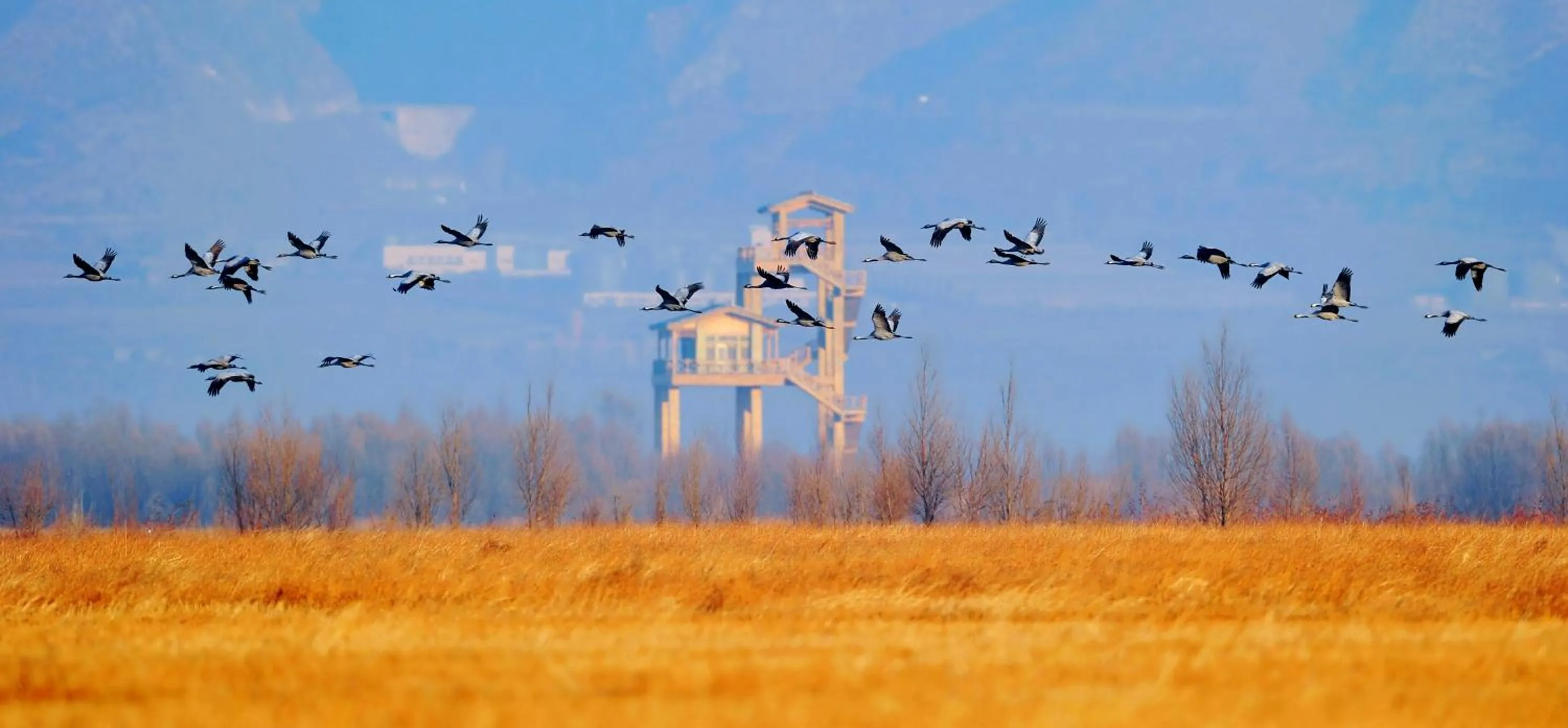 Natural landscape in Beijing Marriott Hotel Yanqing