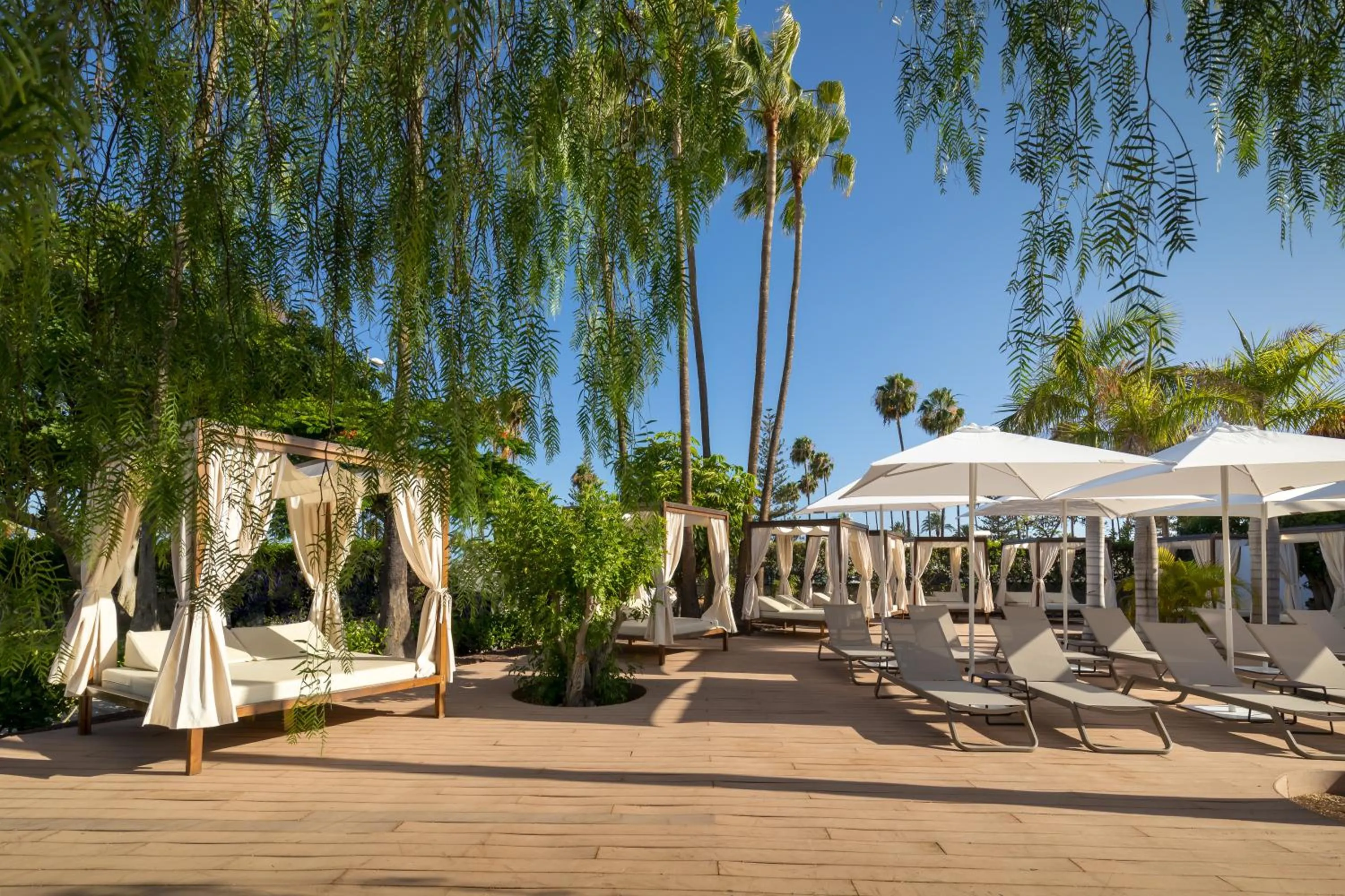 Area and facilities in Barceló Margaritas Royal Level Adults Only