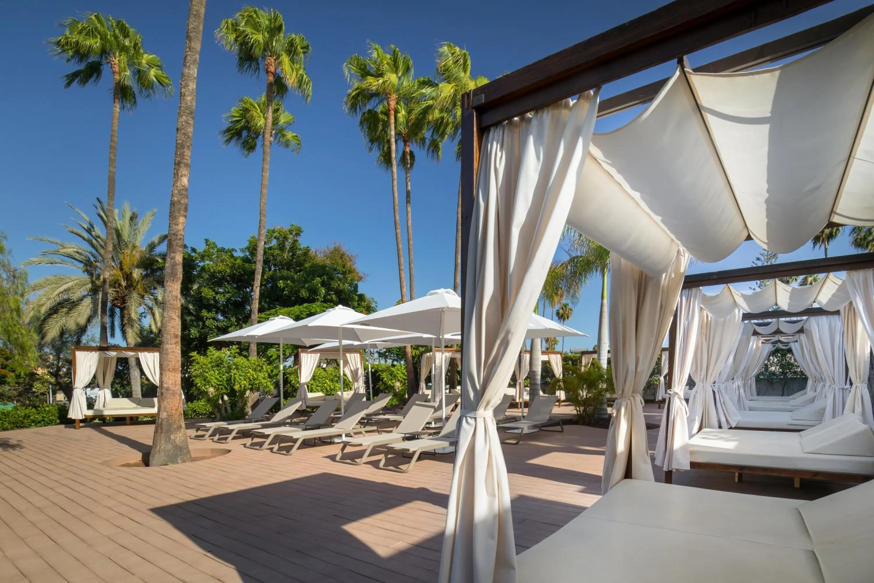 Area and facilities in Barceló Margaritas Royal Level Adults Only