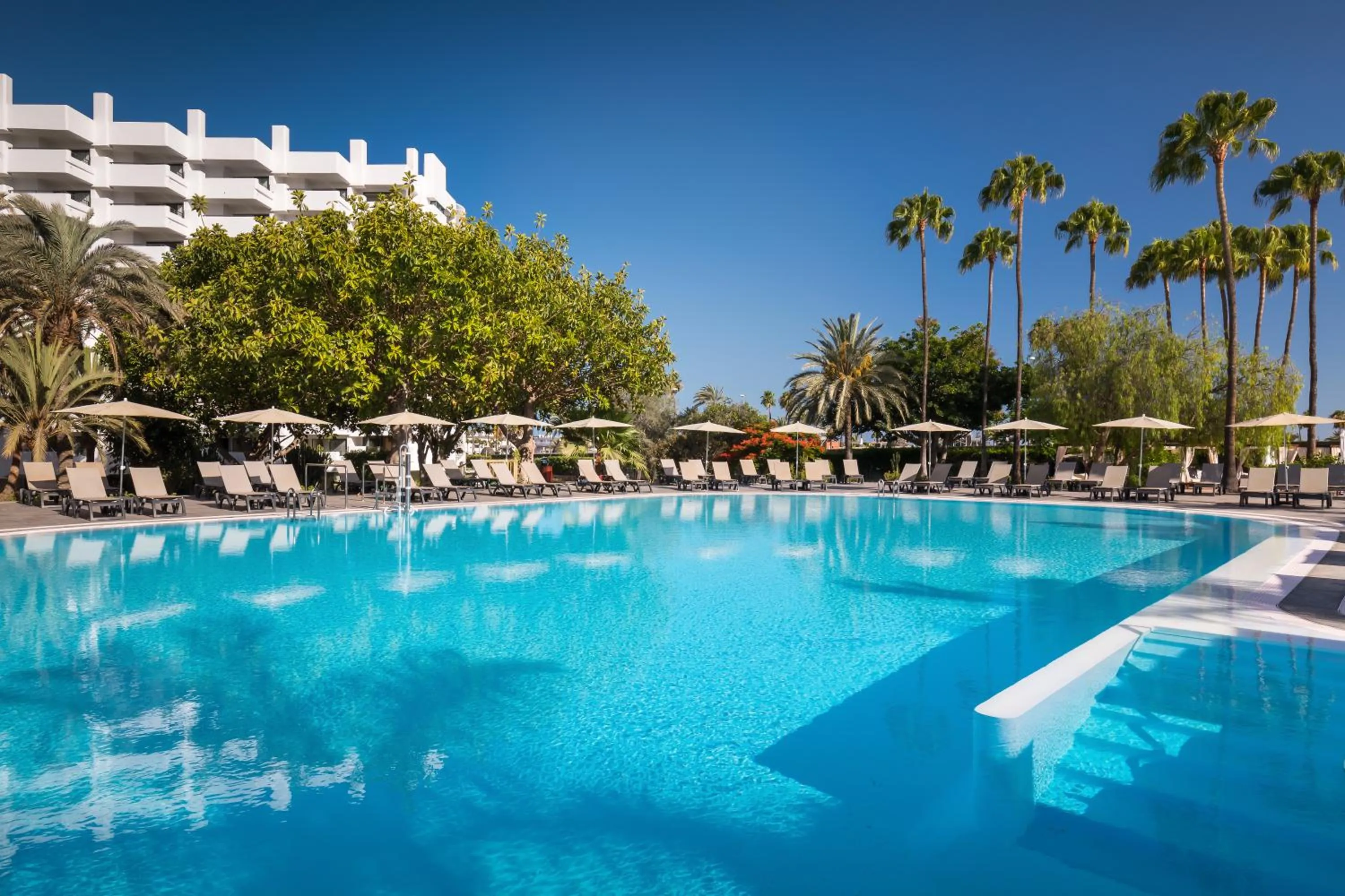 Swimming pool in Barceló Margaritas Royal Level Adults Only