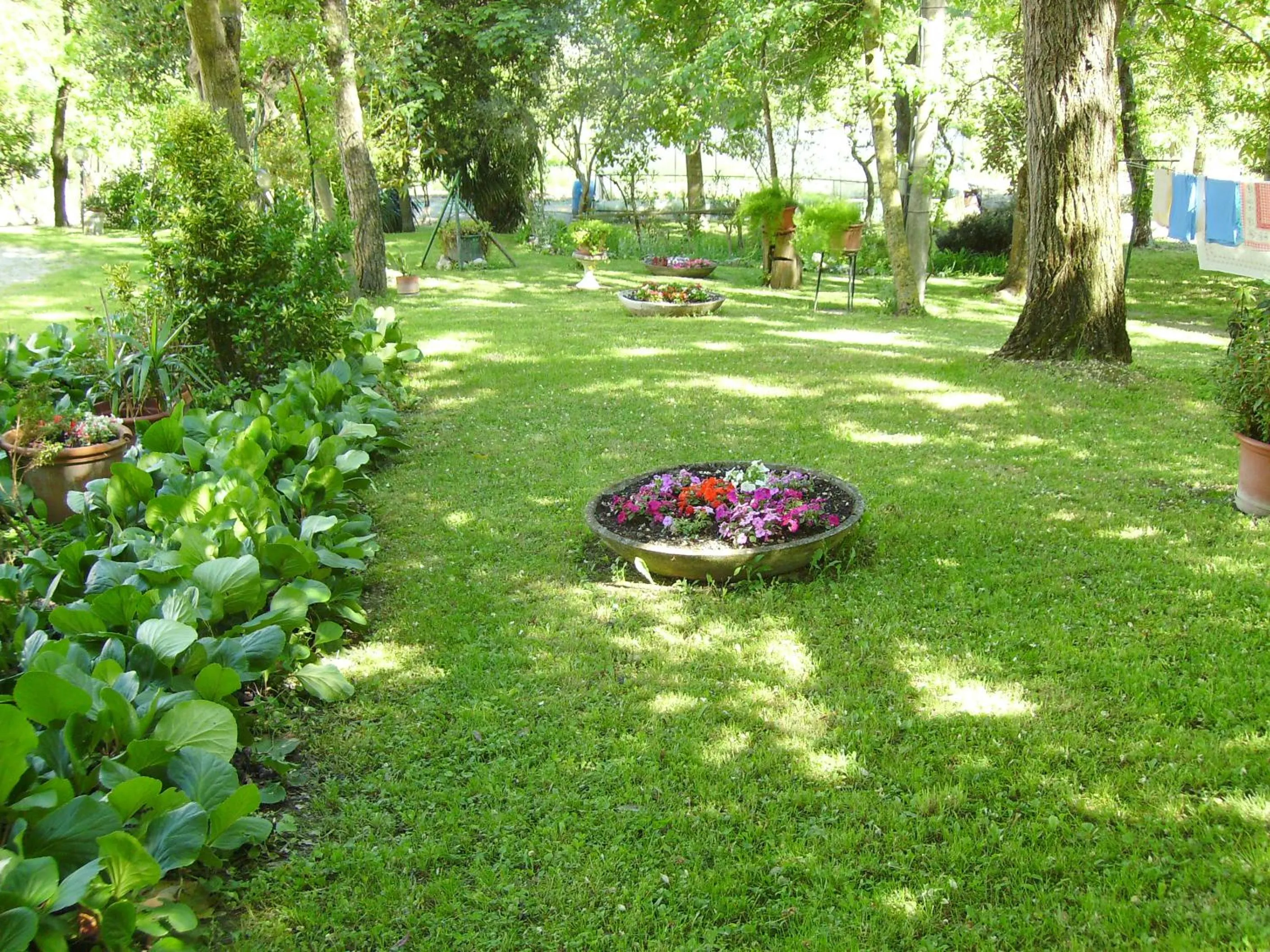 Garden in Il Prato