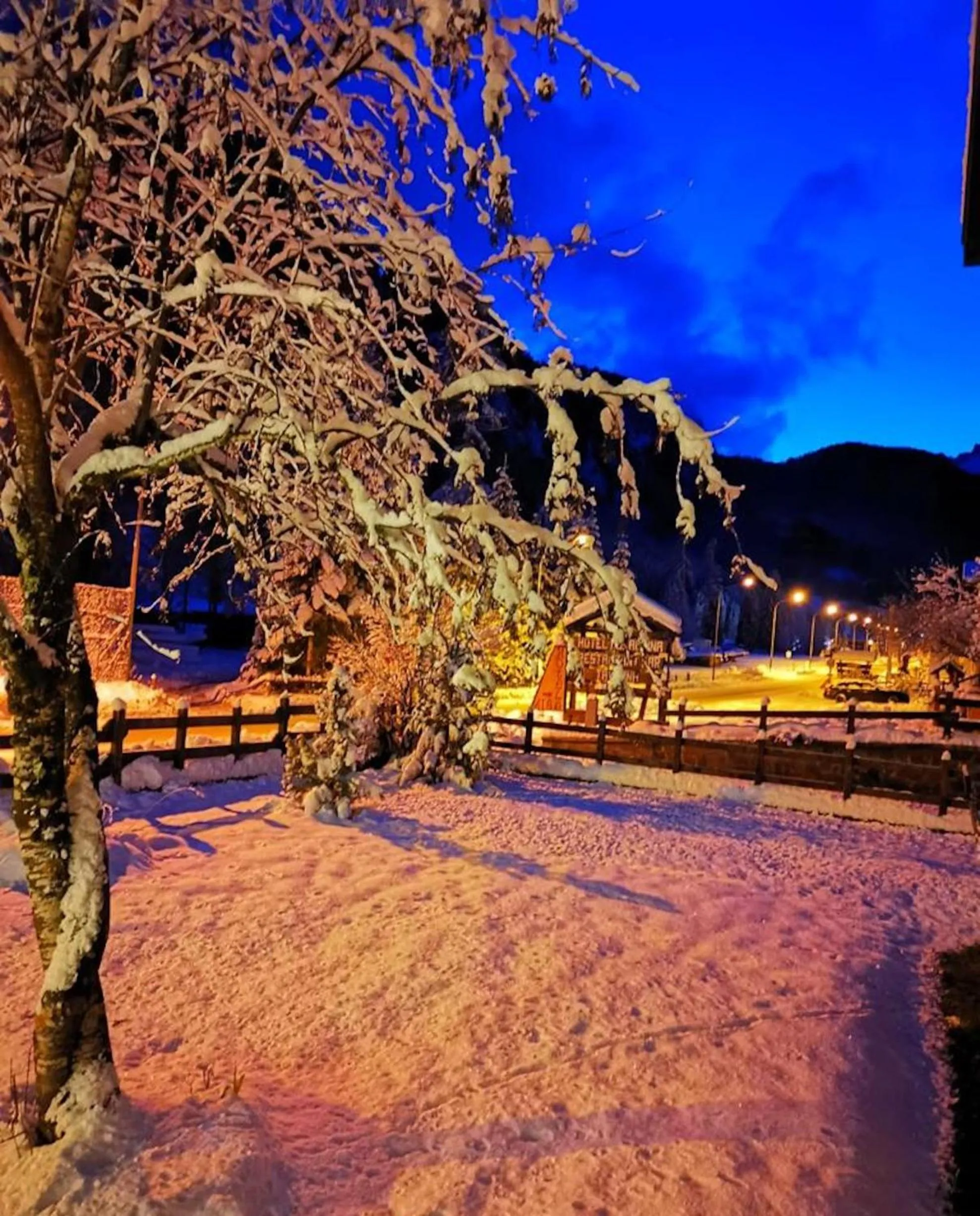 Hotel Rosalpina