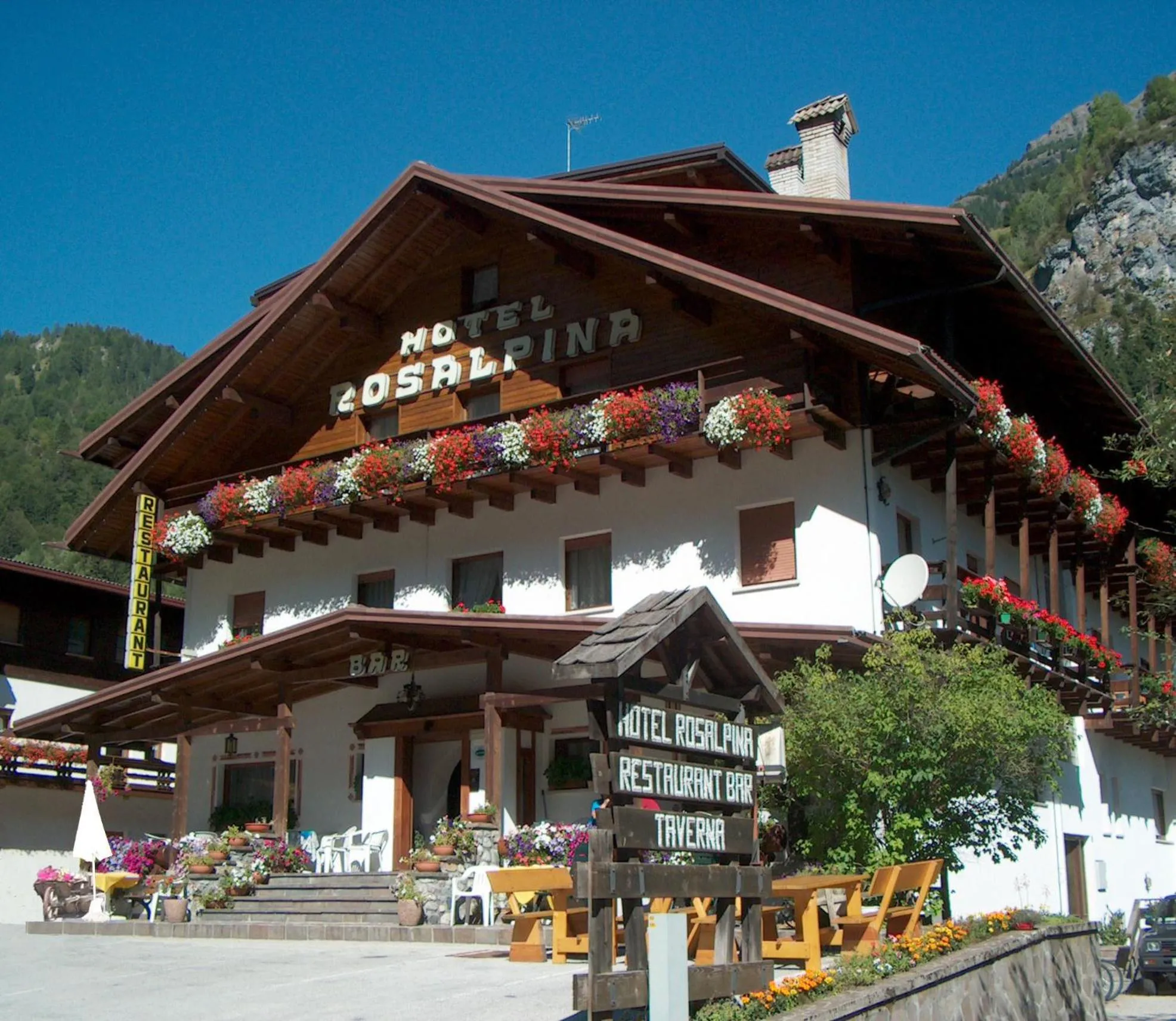 Property building in Hotel Rosalpina