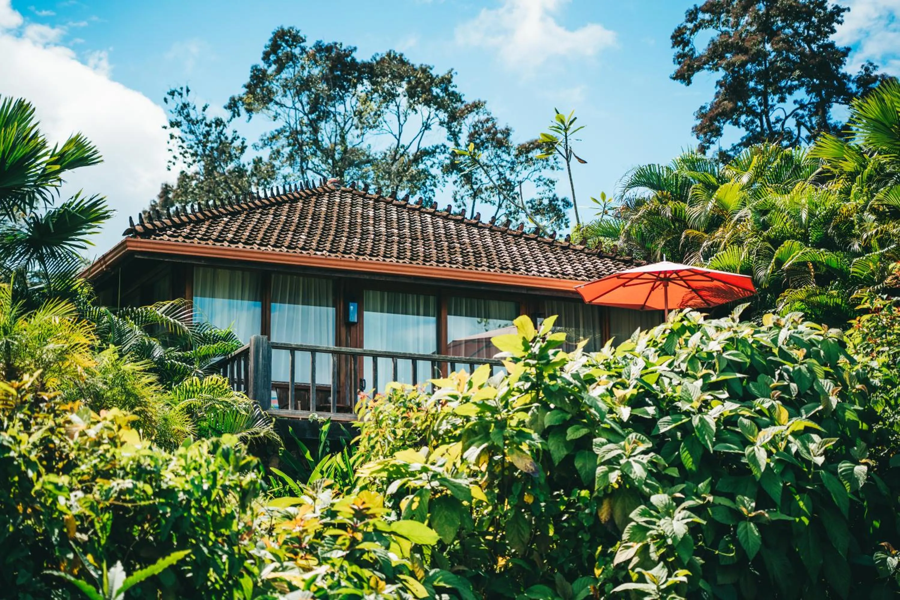Balcony/Terrace in La Coralina Island House