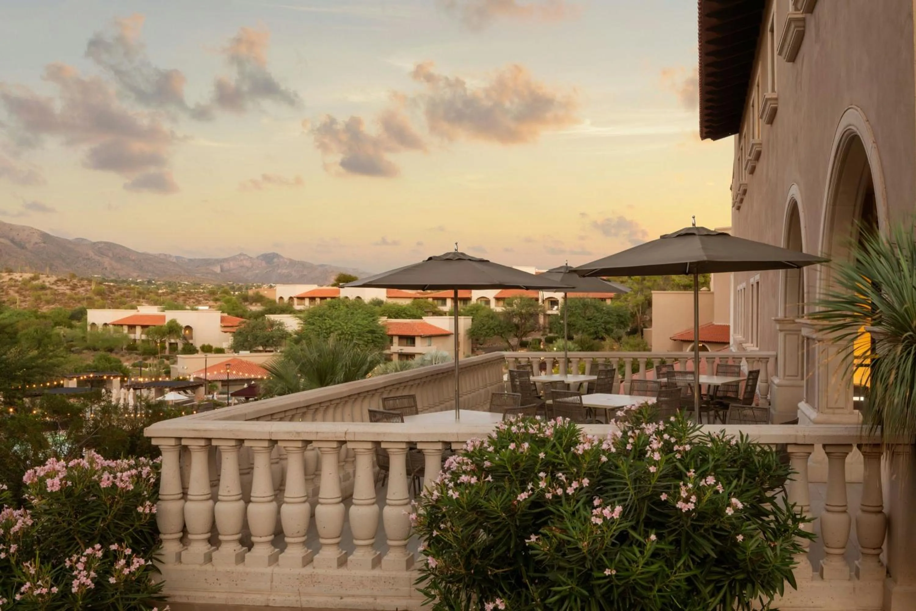 Restaurant/places to eat in The Westin La Paloma Resort & Spa