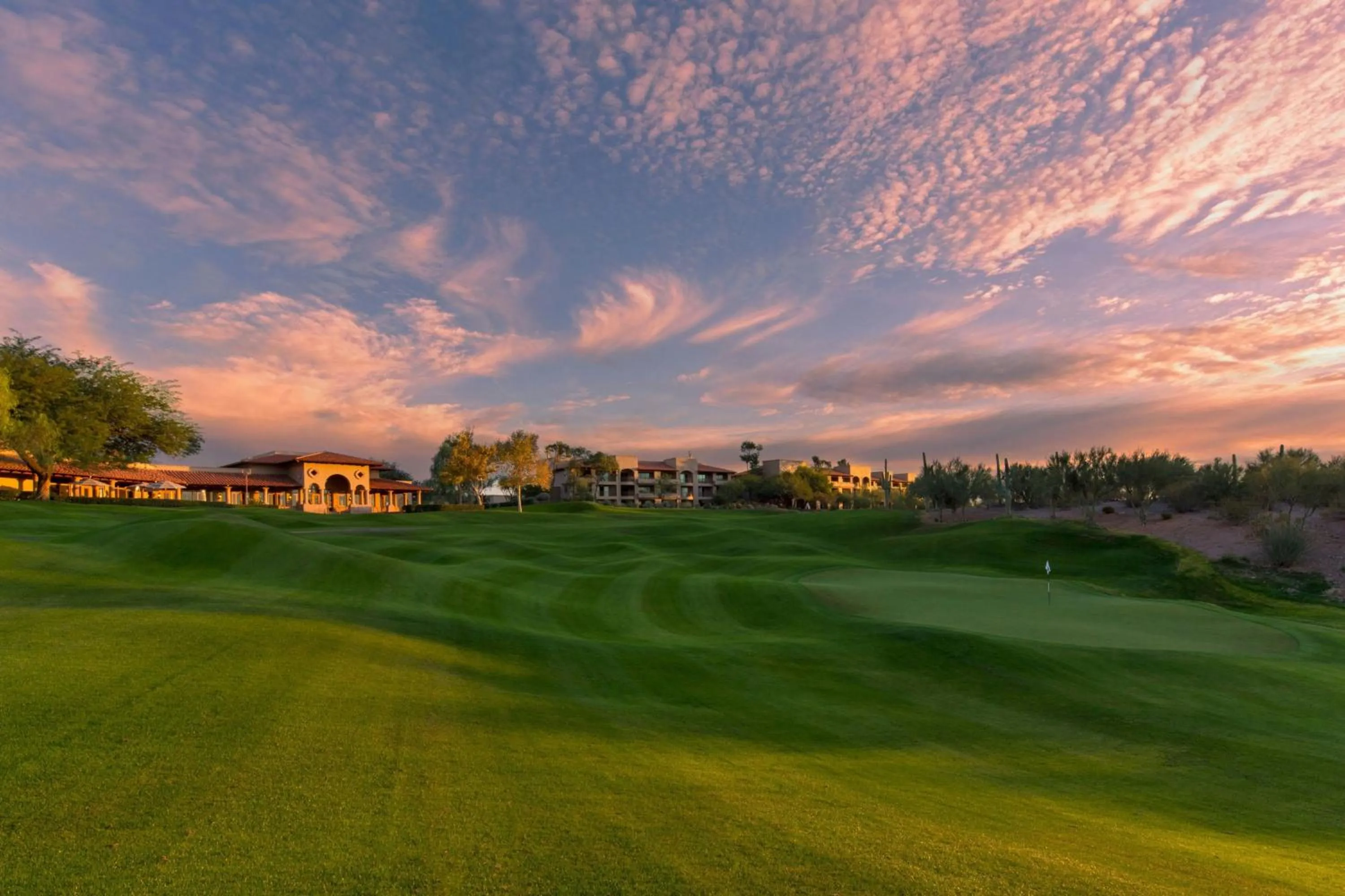 Other in The Westin La Paloma Resort & Spa