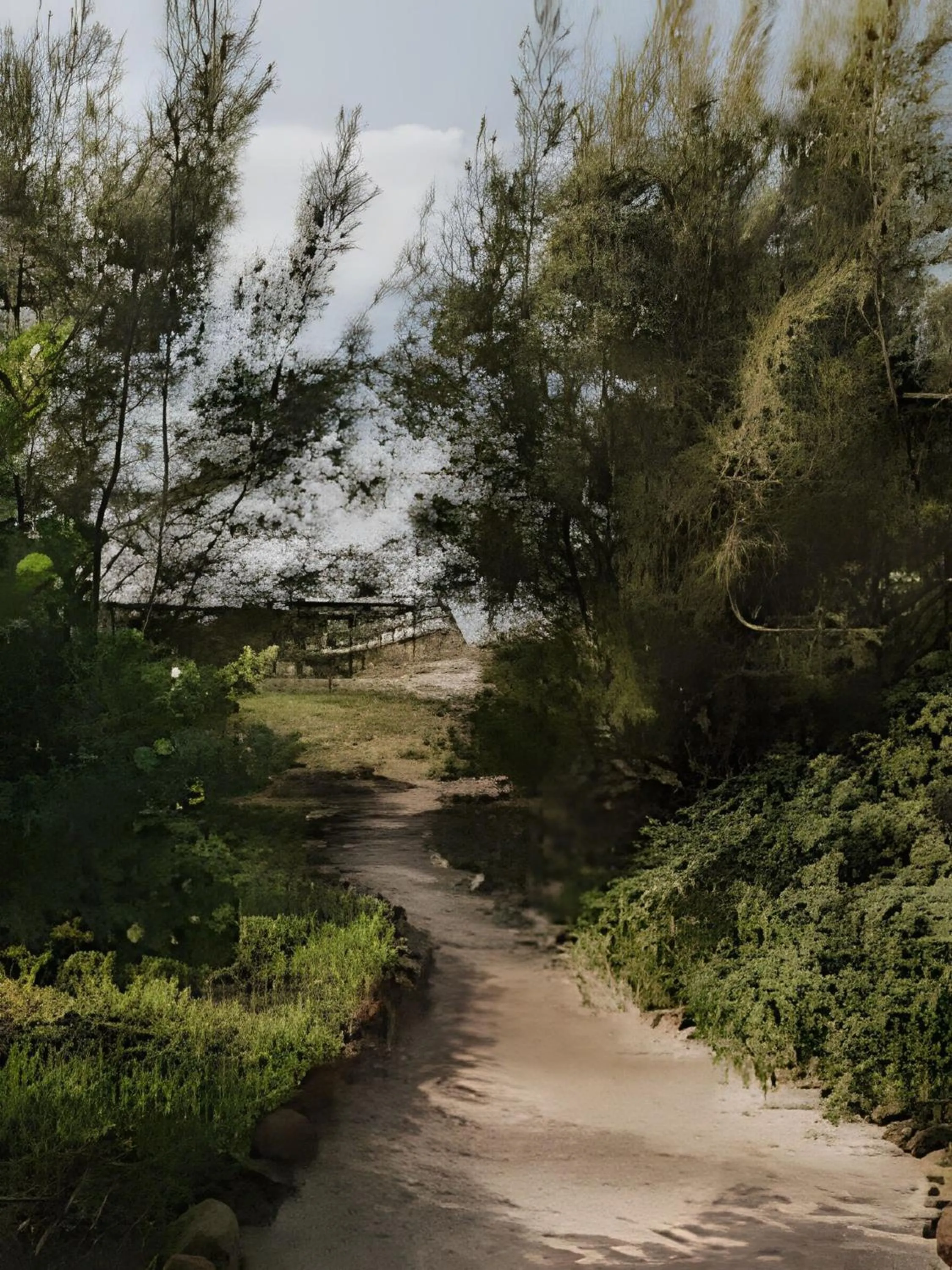 Hiking in Villa Sayuri