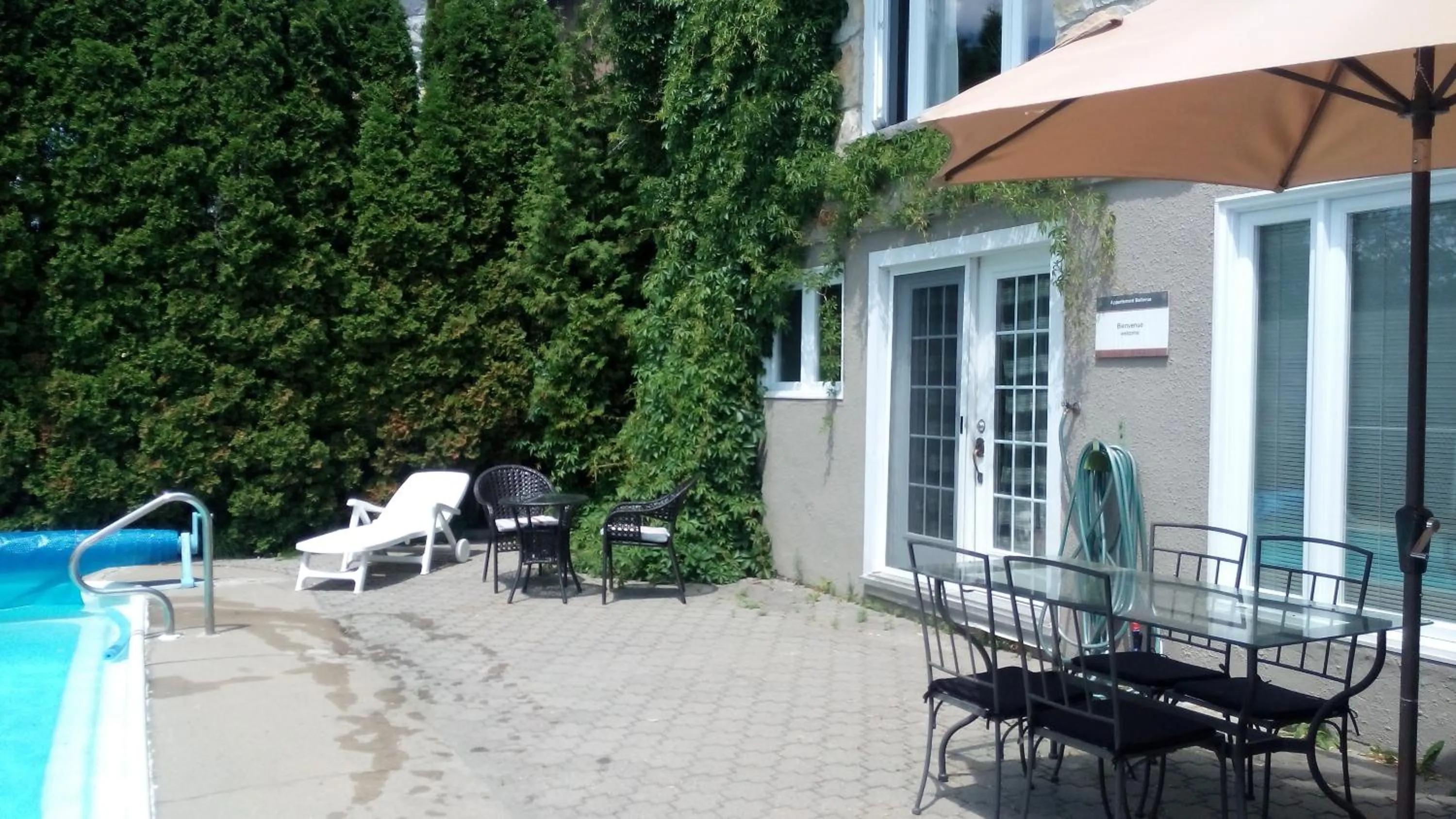 Summer in Studio Bellevue