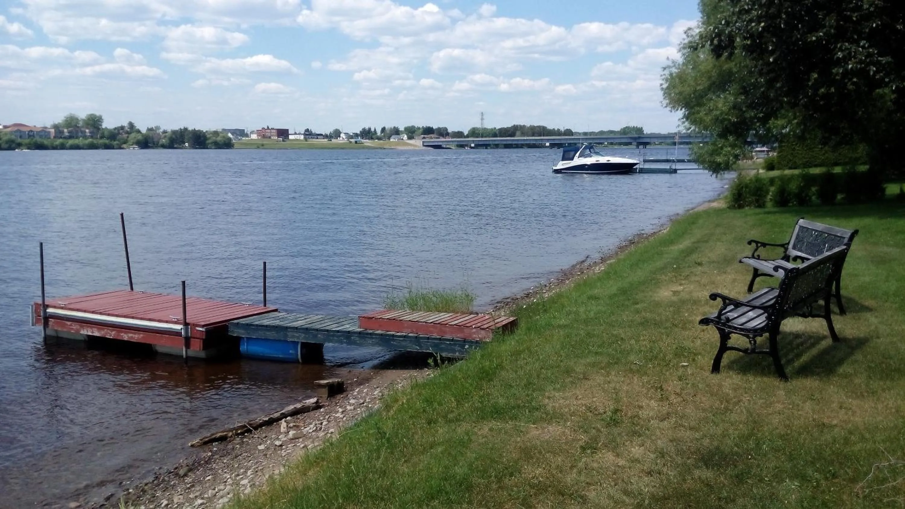 Summer in Studio Bellevue