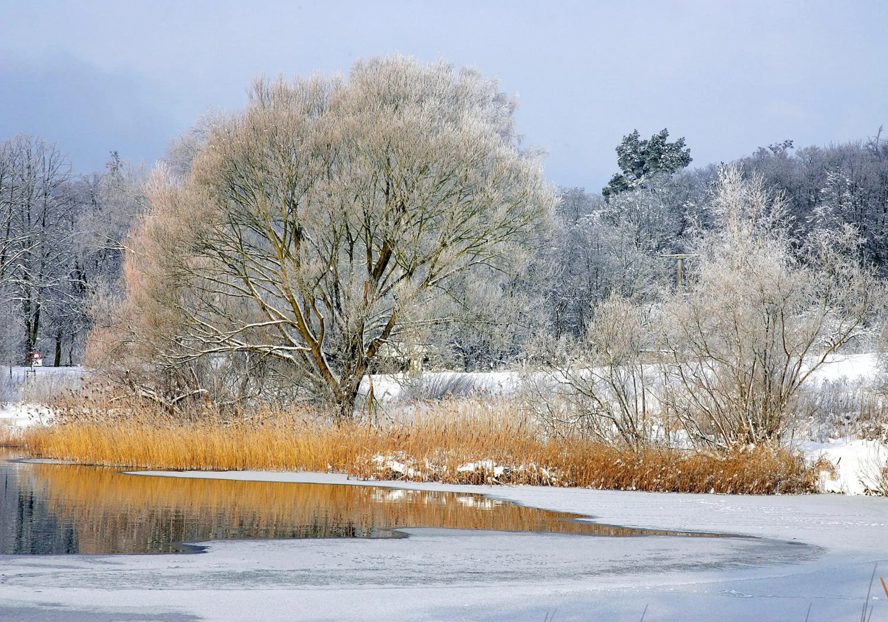 Natural landscape in Seeresidenz Klink