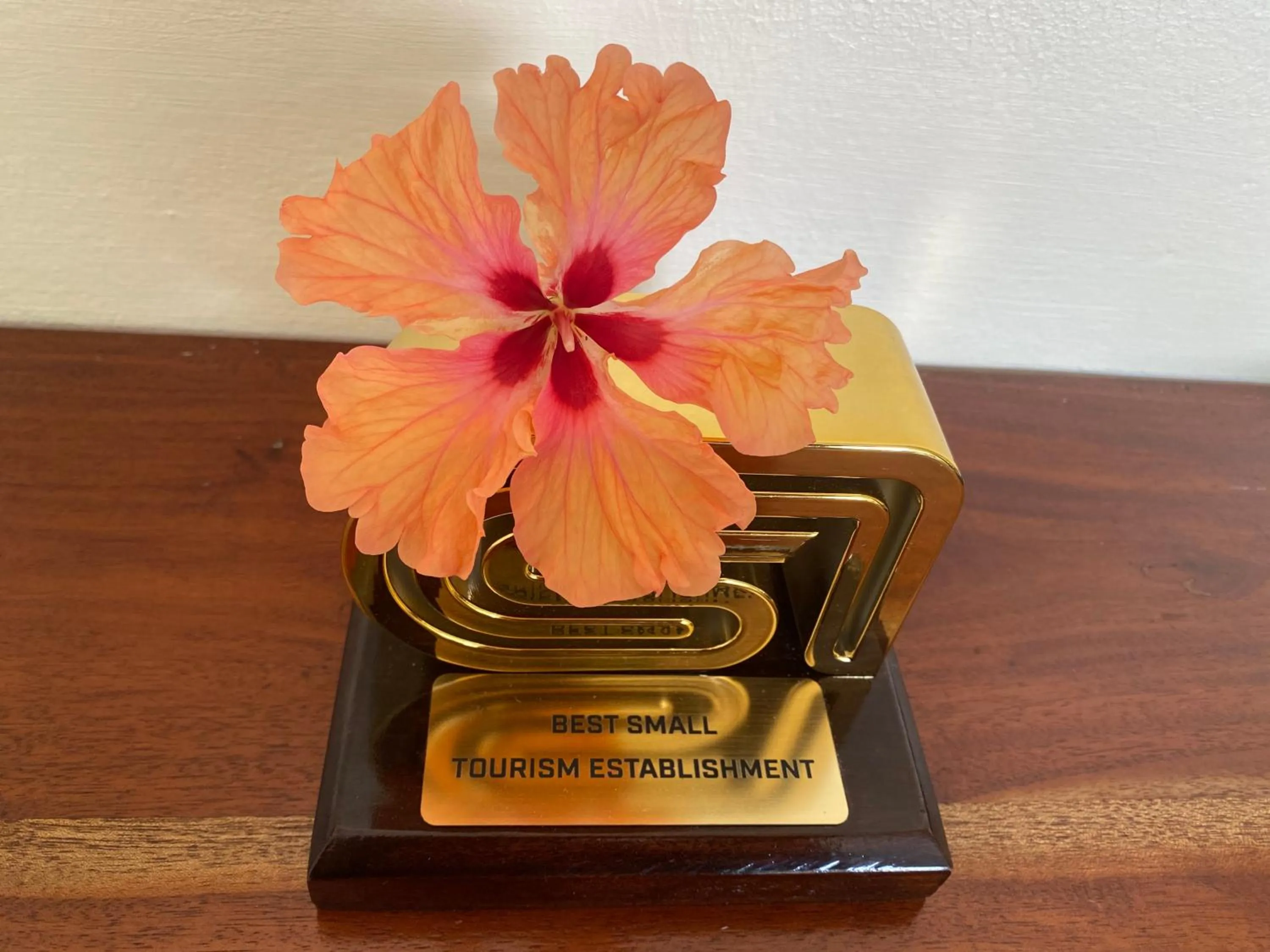 Certificate/Award in Calou Guest House