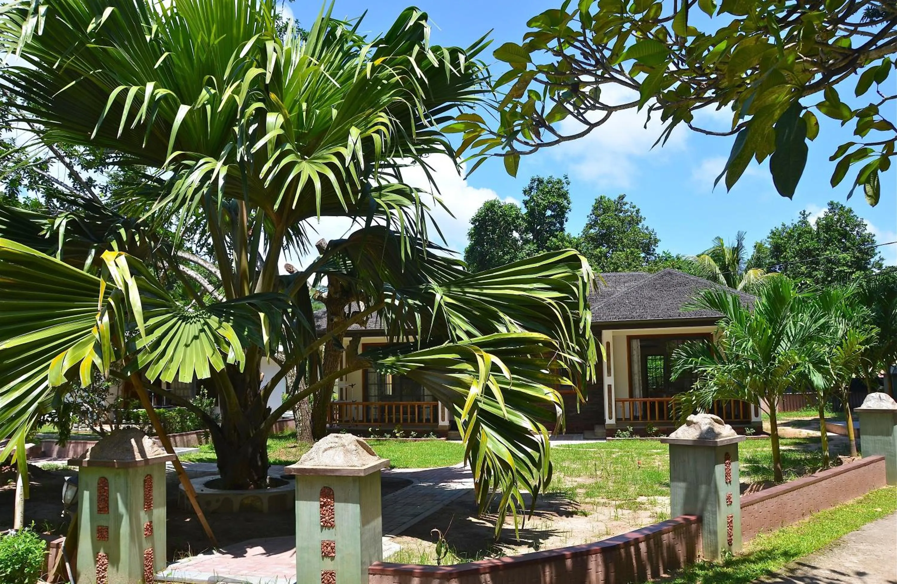 Garden in Calou Guest House